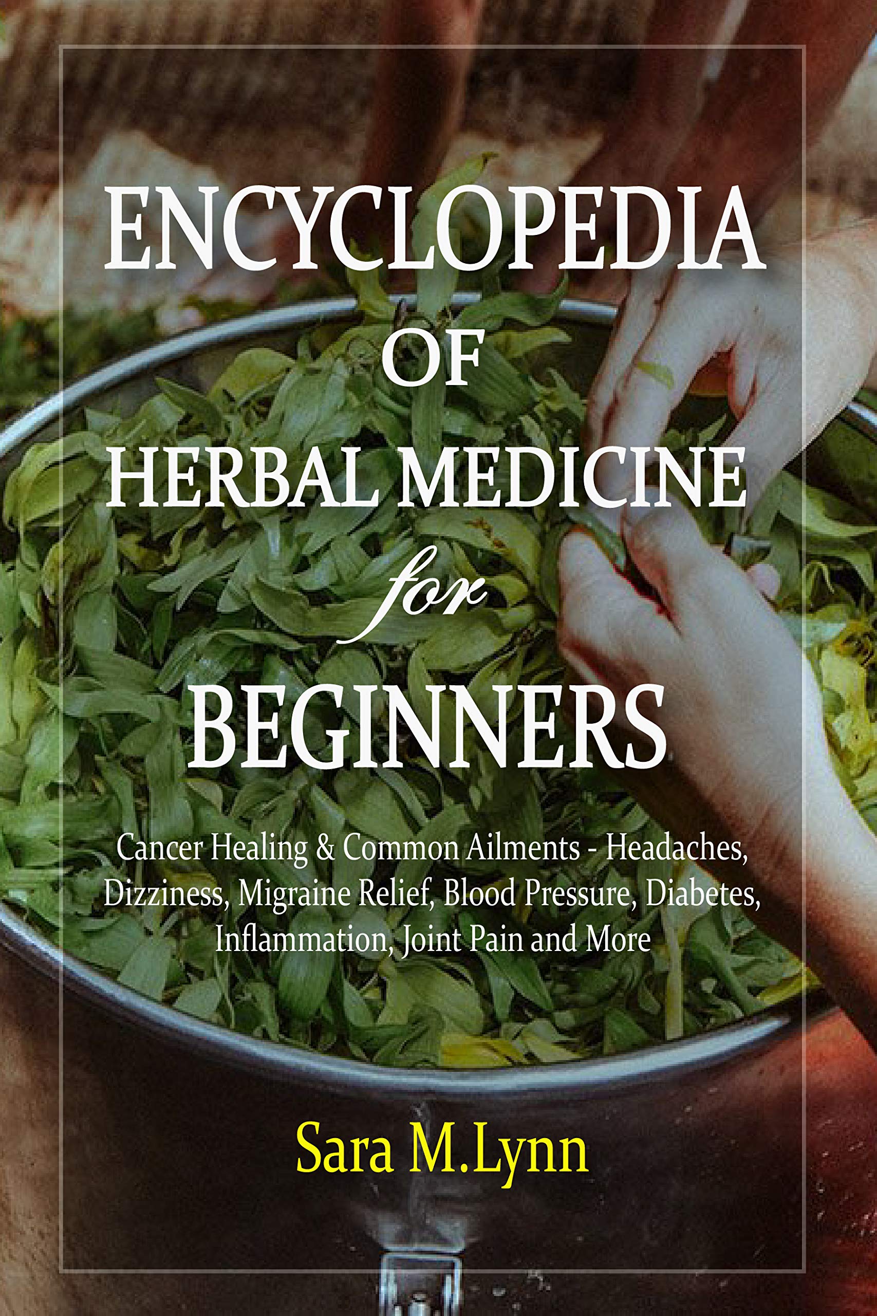 Encyclopedia of Herbal Medicine Herbal Medicine for Beginners Herbal