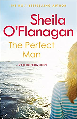 The perfect man book cover