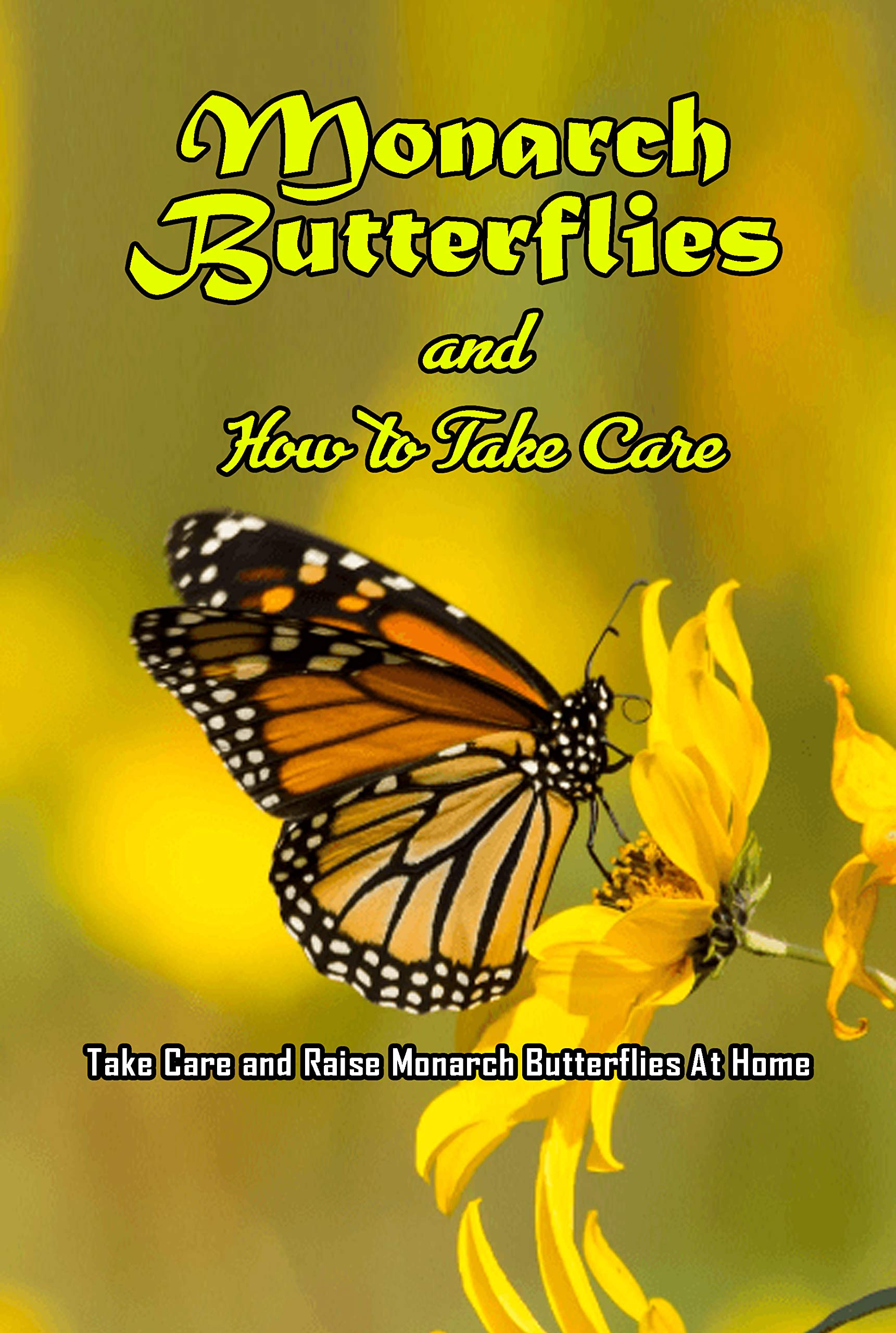 Monarch Butterflies and How to Take Care Take Care and Raise Monarch