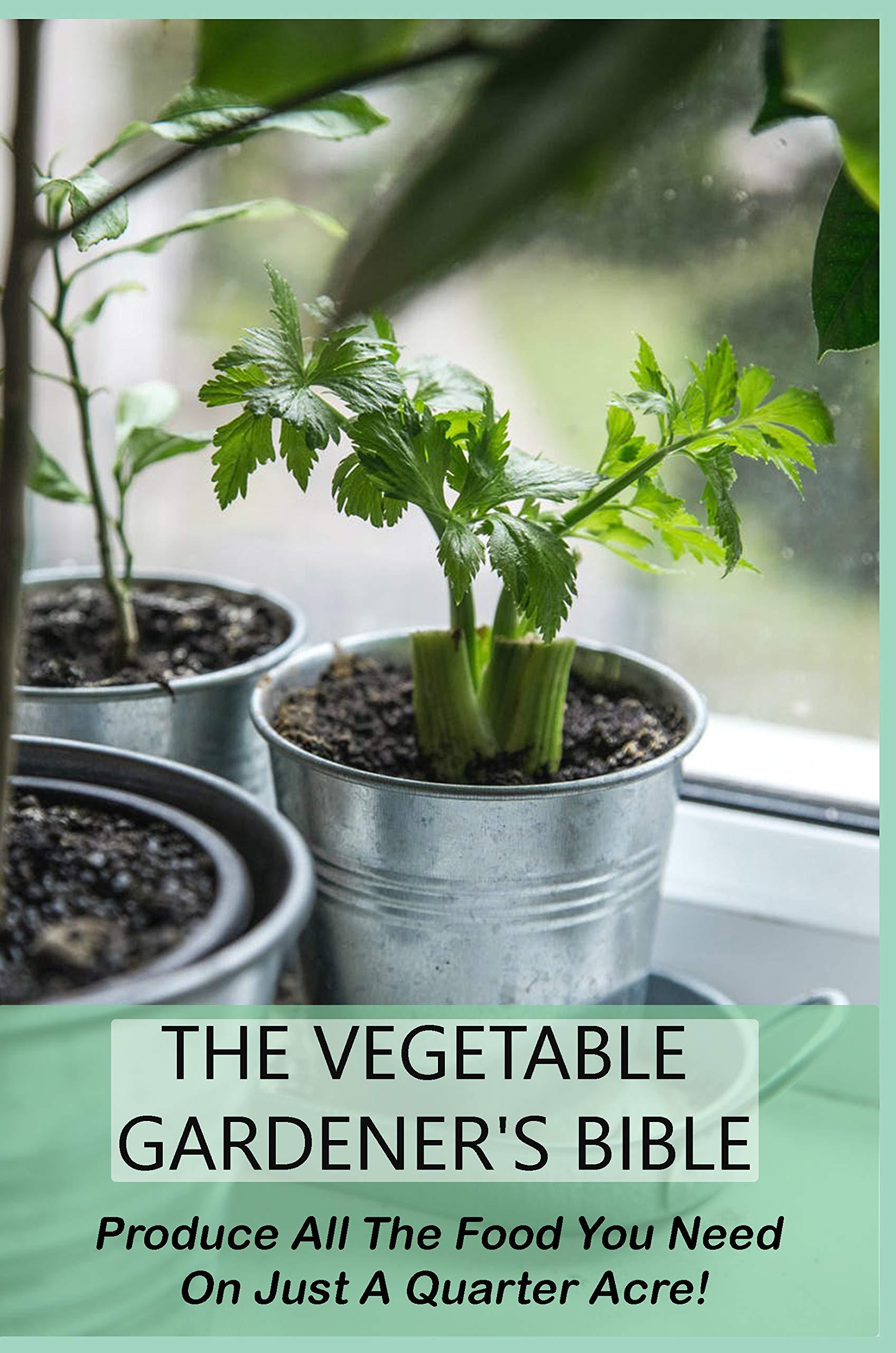 The Vegetable Gardener's Bible Produce All The Food You Need On Just A