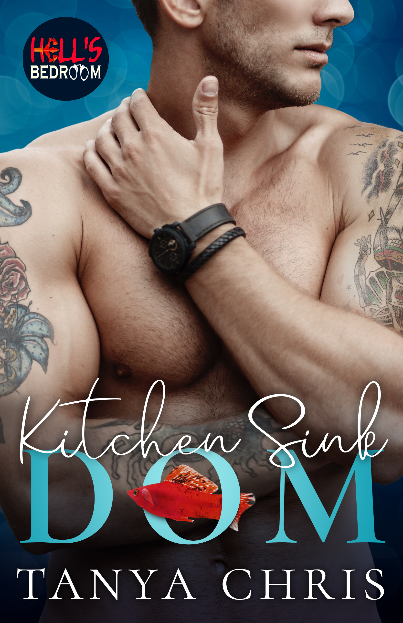 Kitchen Sink Dom book cover