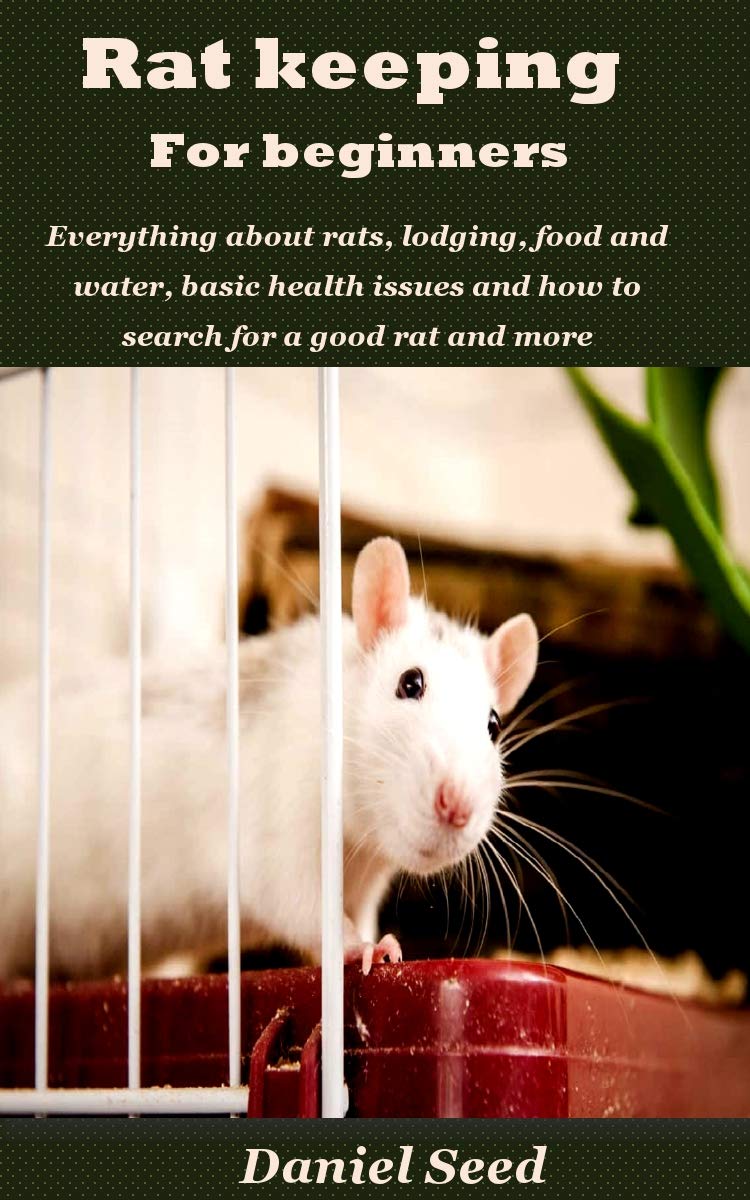 RATS KEEPING FOR BEGINNERS Everything about rats, lodging, food and