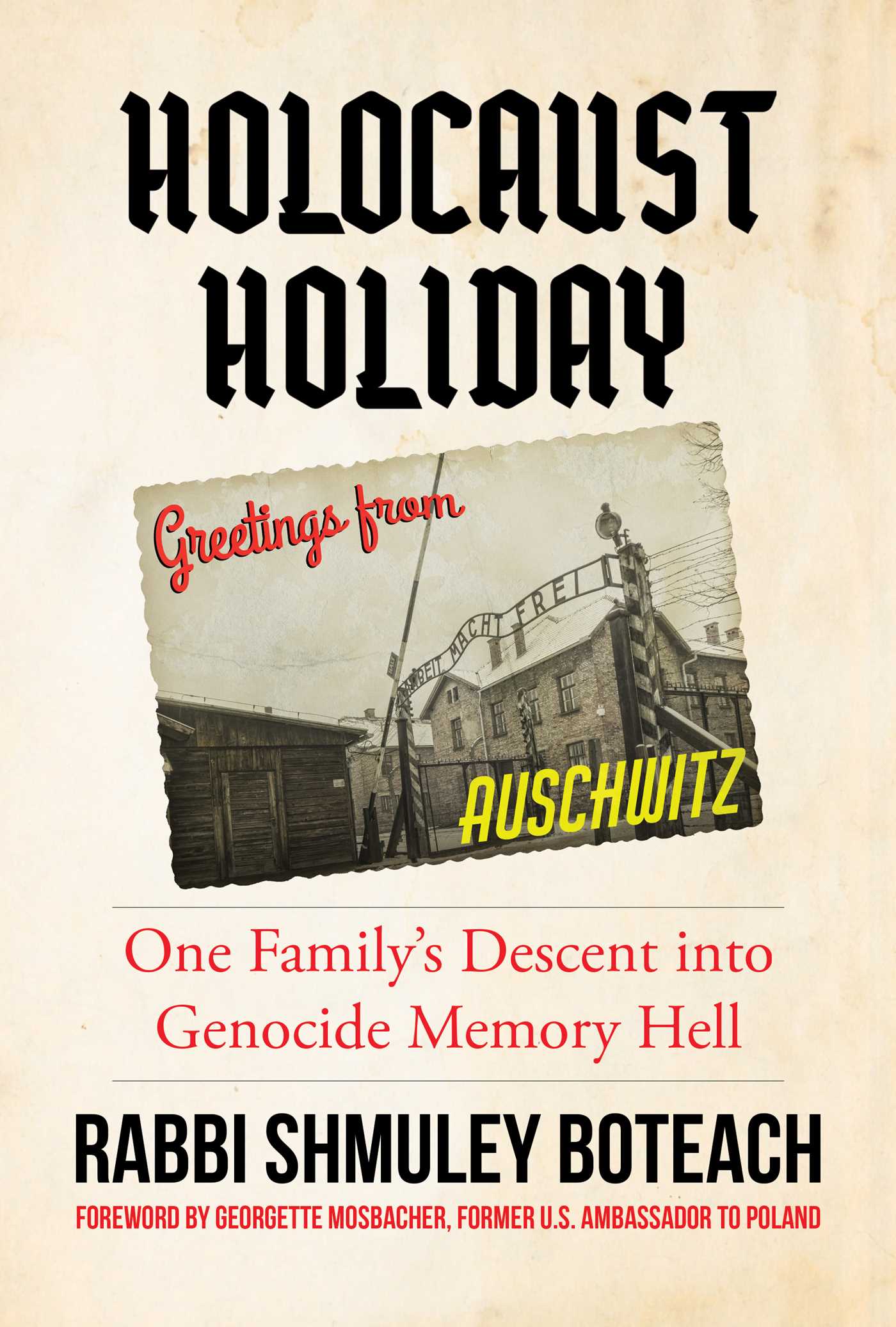 Holocaust Holiday book cover