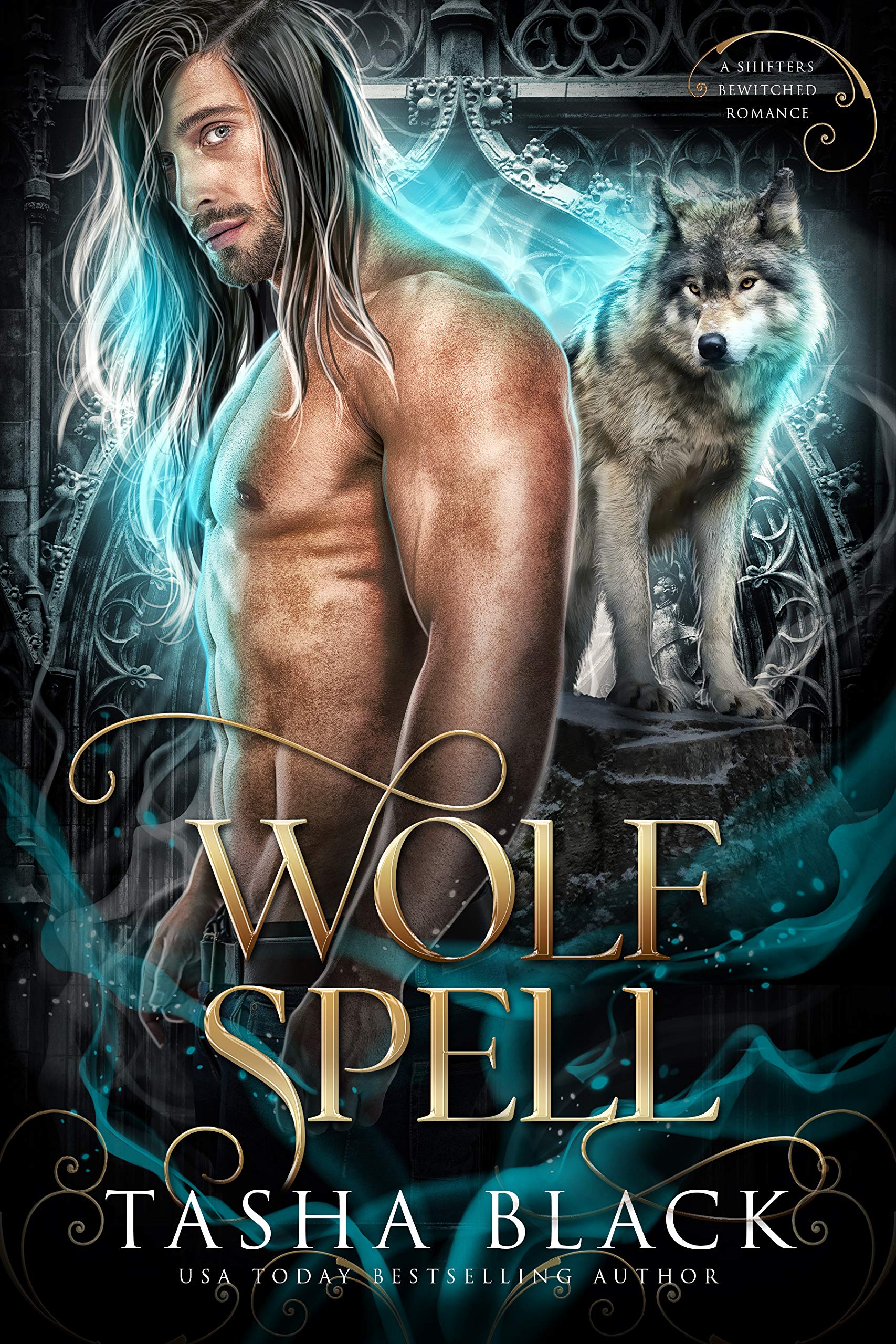 Shifters Bewitched book cover 1