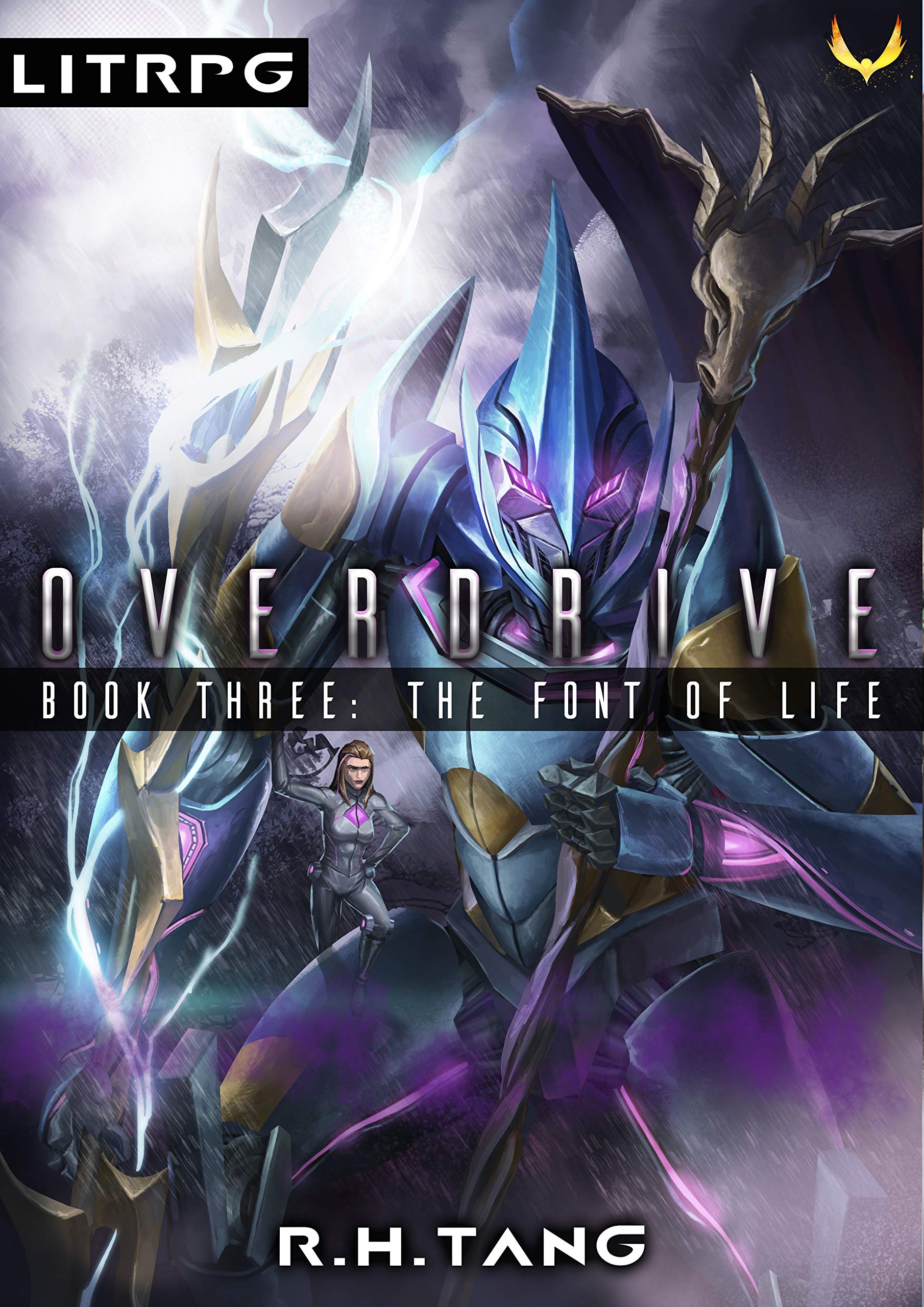 Overdrive book cover 3