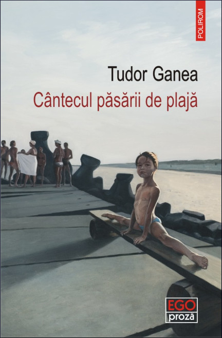 Cântecul păsării de plajă book cover
