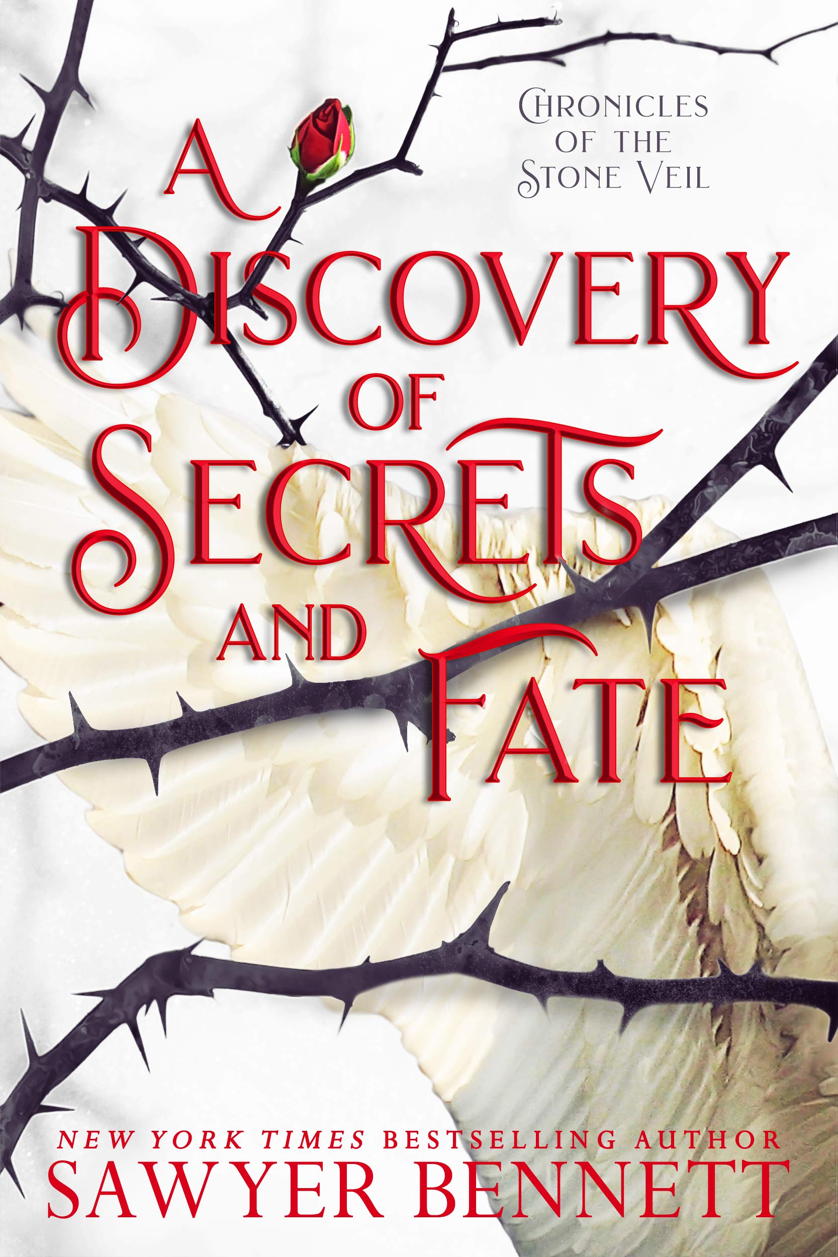 A Discovery of Secrets and Fate (Chronicles of the Stone Veil, #2)