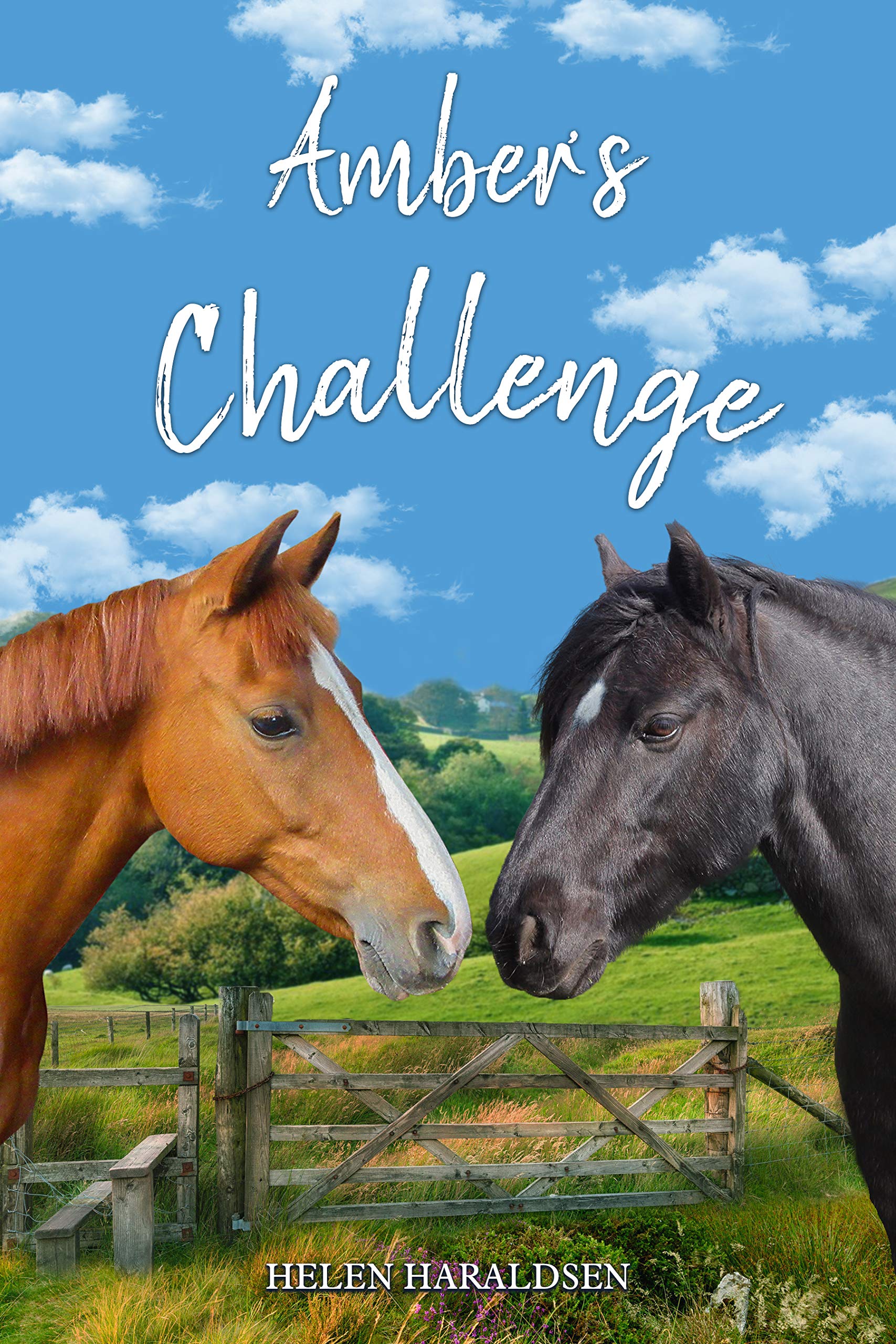 Amber's Challenge