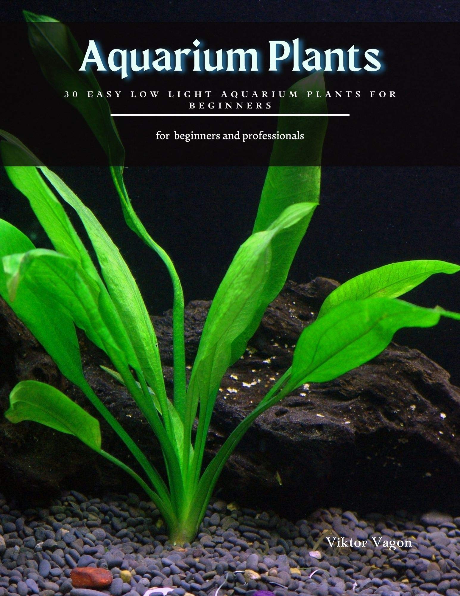 Aquarium Plants 30 Easy Low Light Aquarium Plants for Beginners by