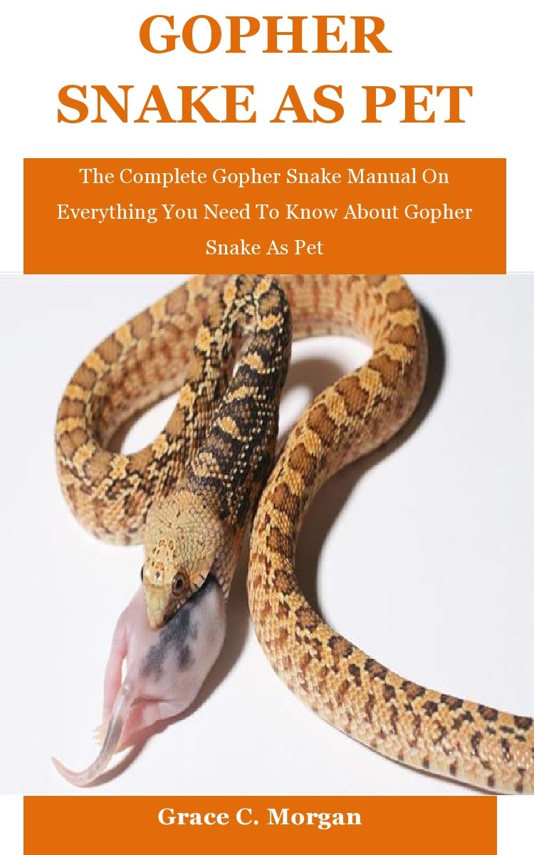 Gopher Snake As Pet The Complete Gopher Snake Manual On Everything You Need To Know About