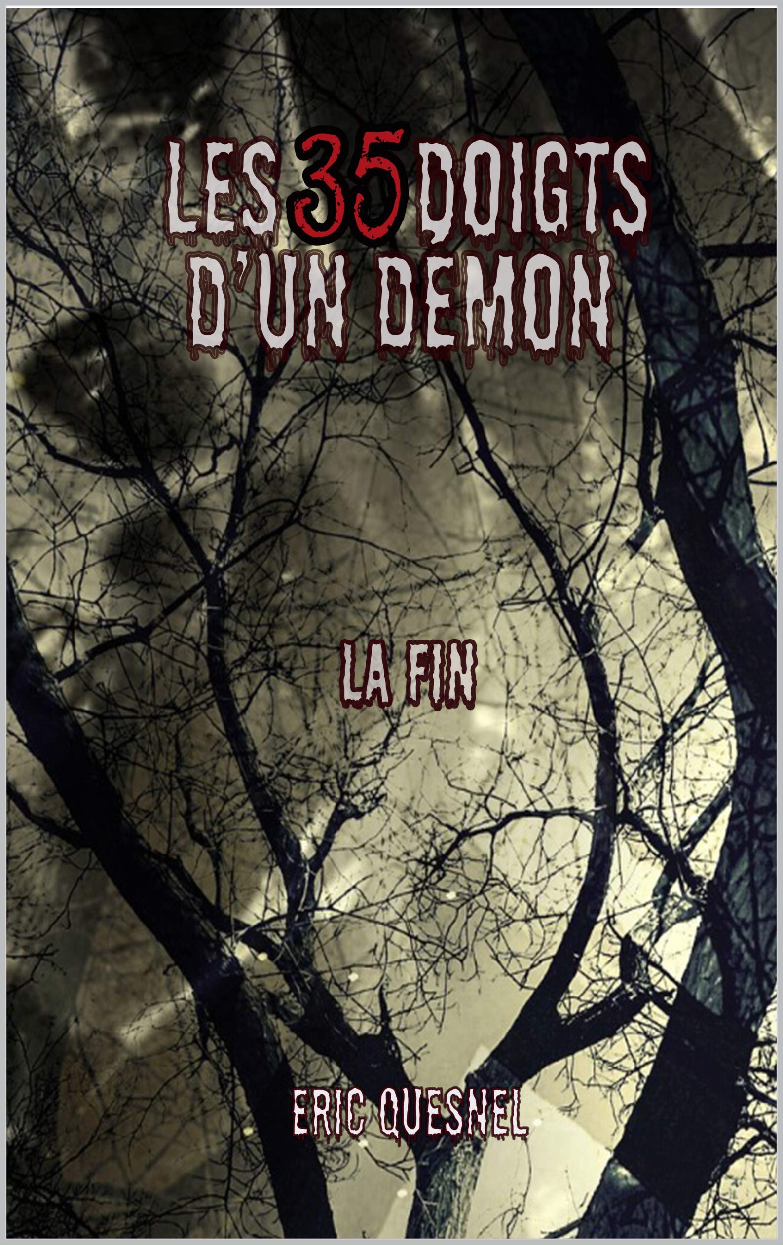 Les 35 doigts d'un démon book cover 2