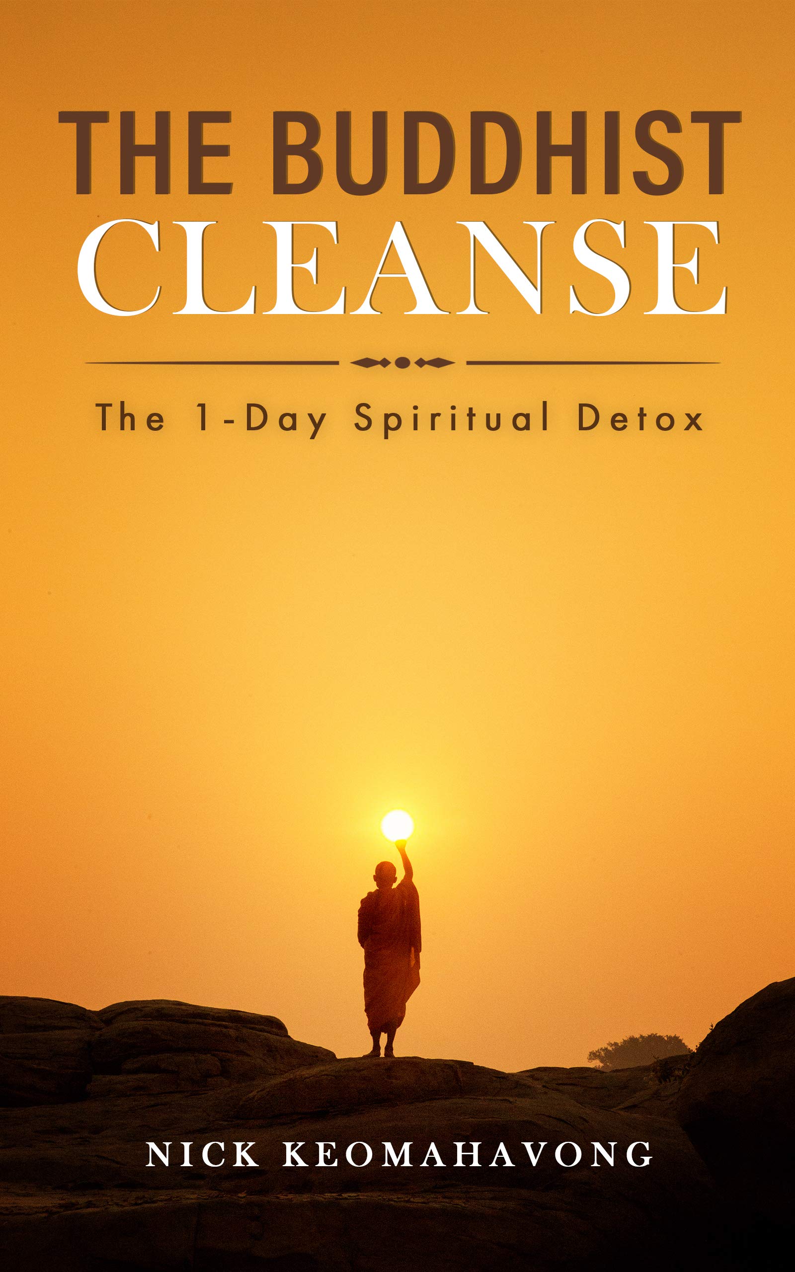 The Buddhist Cleanse: The 1-Day Spiritual Detox
