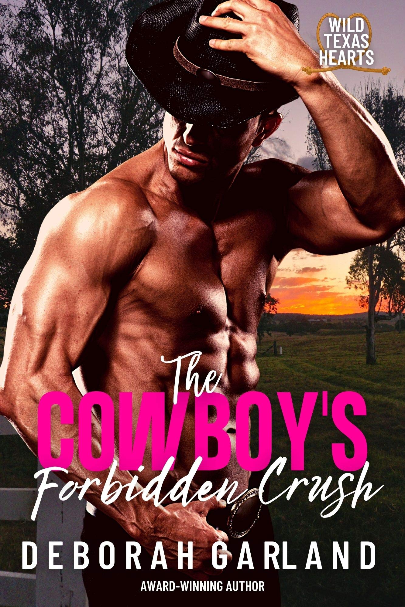 The Cowboy's Forbidden Crush book cover