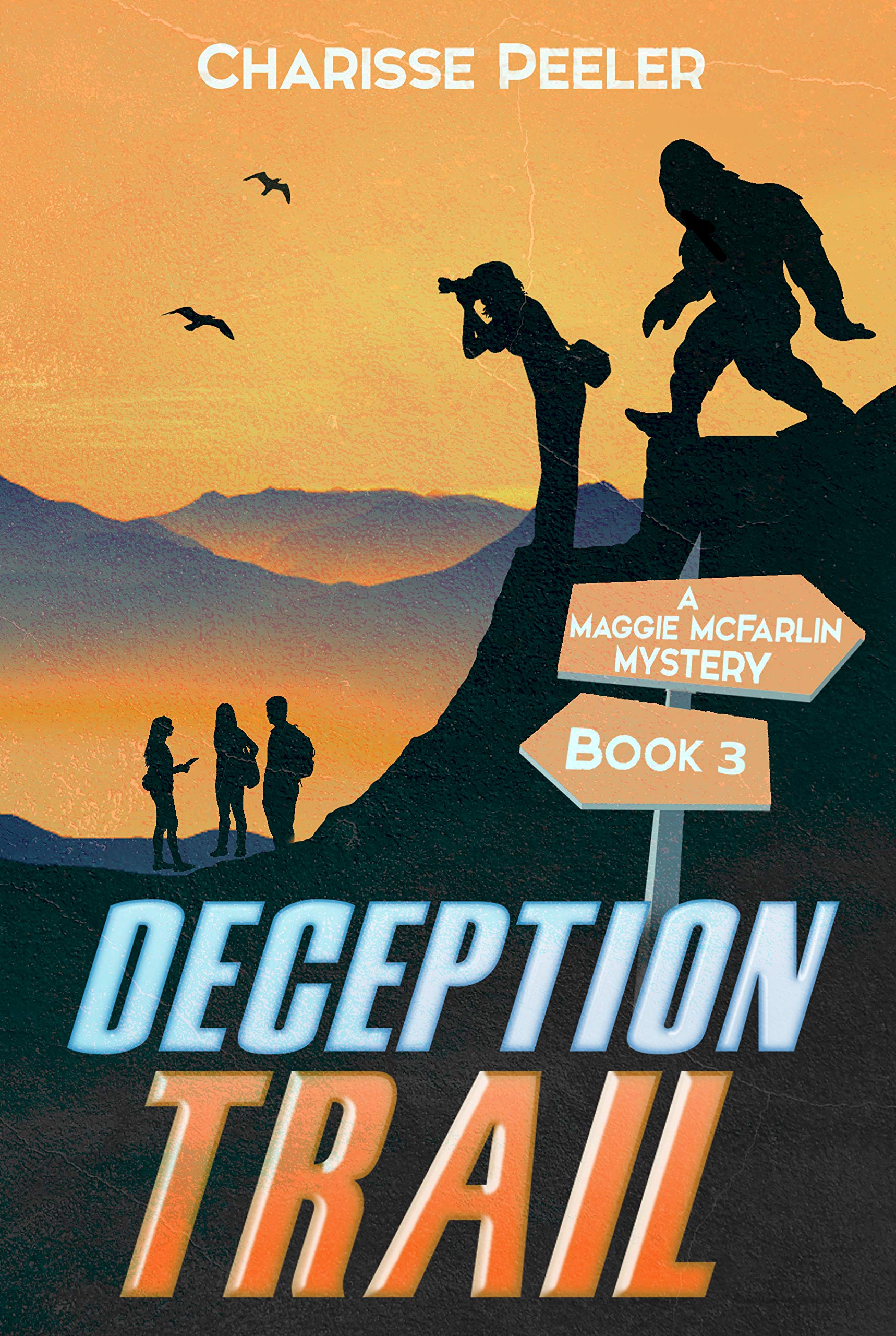 The Untold Story David Allan Bouchers Trail Of Deception Unveiled - tjcmw0a