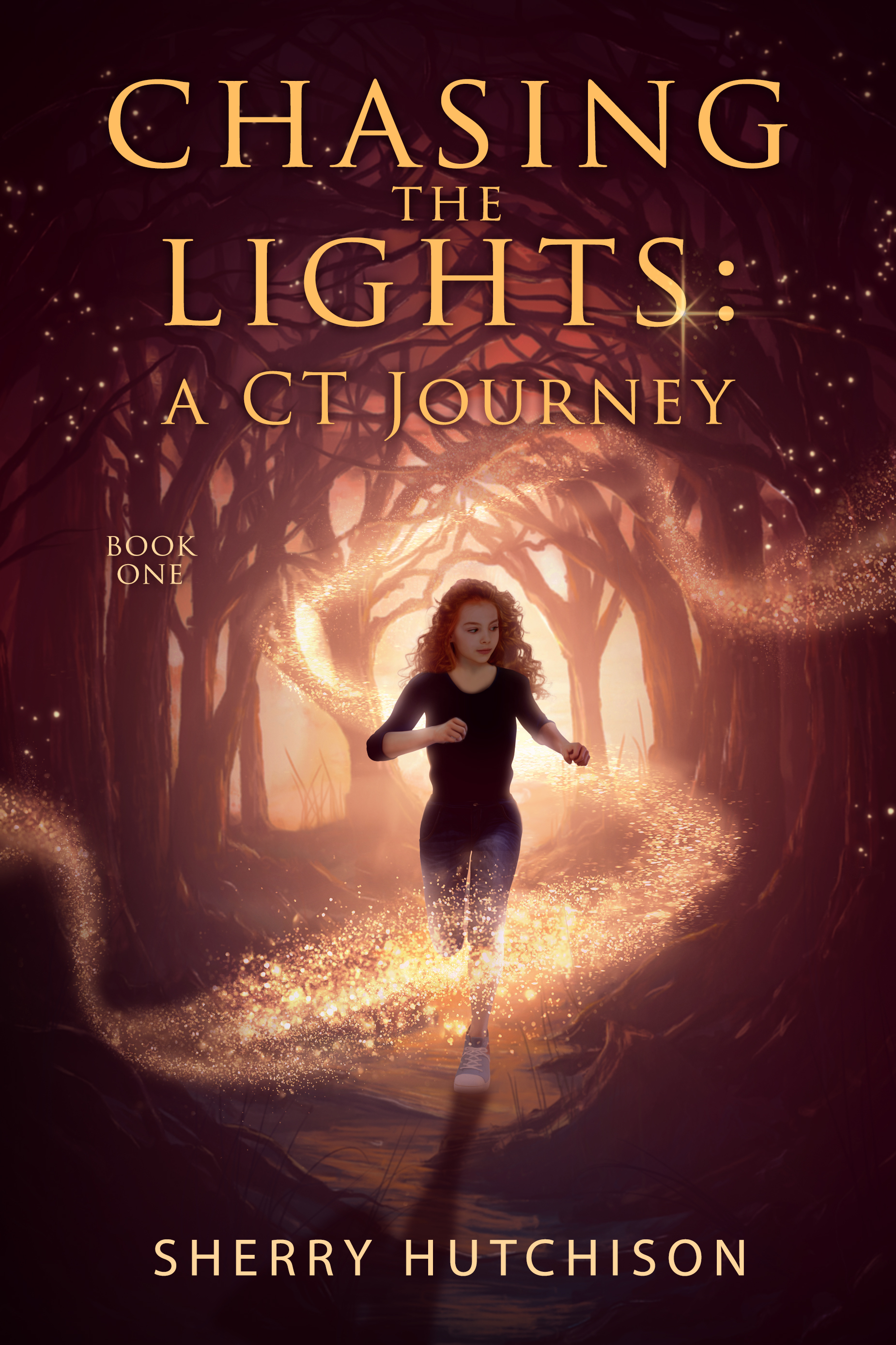 A CT Journey, Chasing The Lights