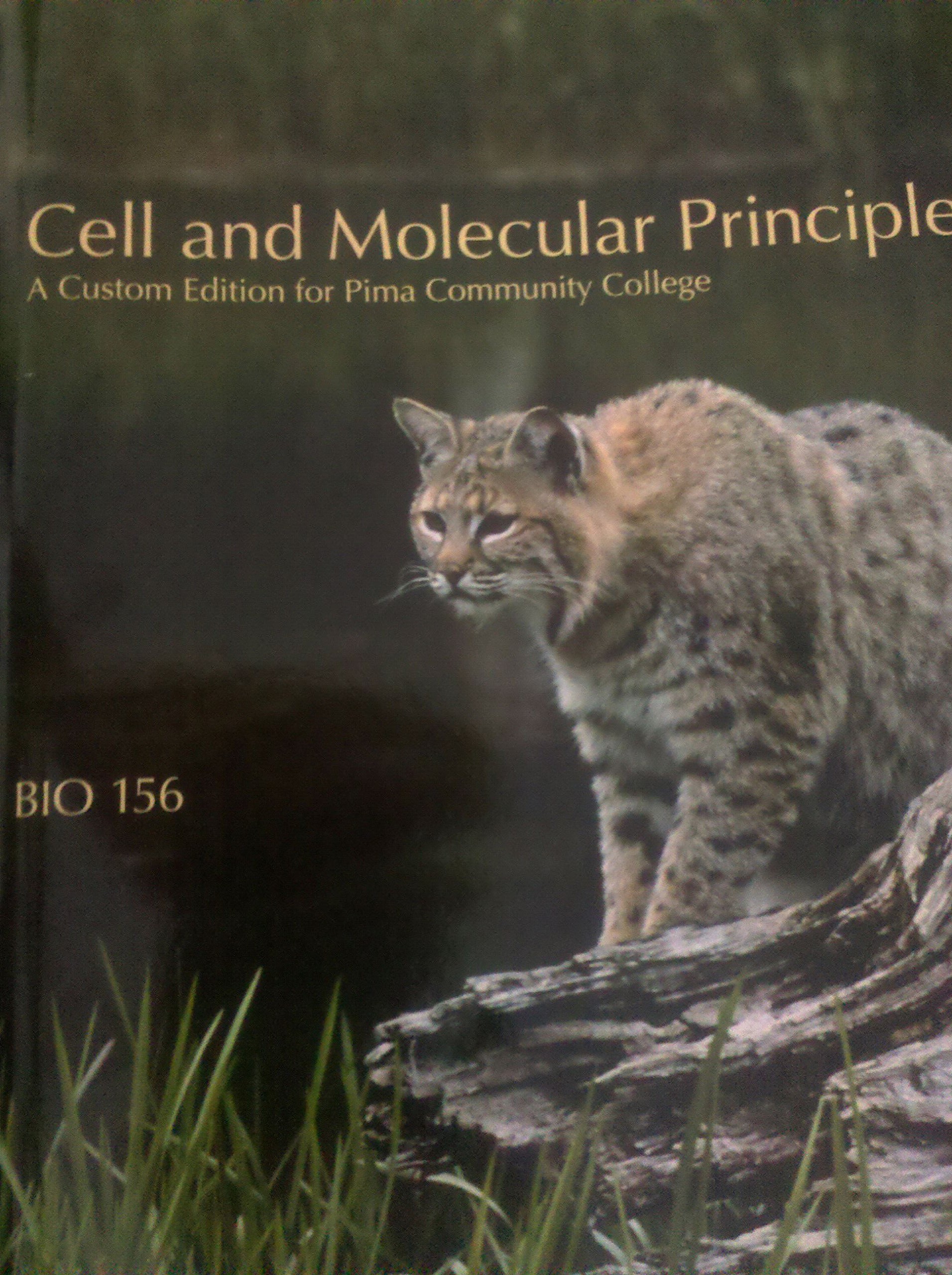 Cell and Molecular Principles Human Anatomy Laboratory Manual with Cat