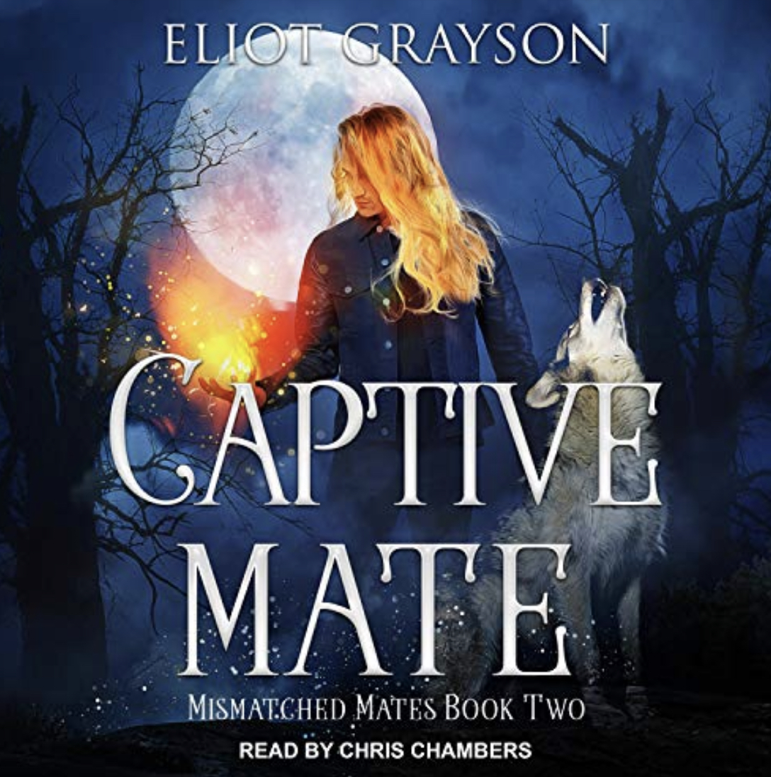 Captive Mate (Mismatched Mates #2)