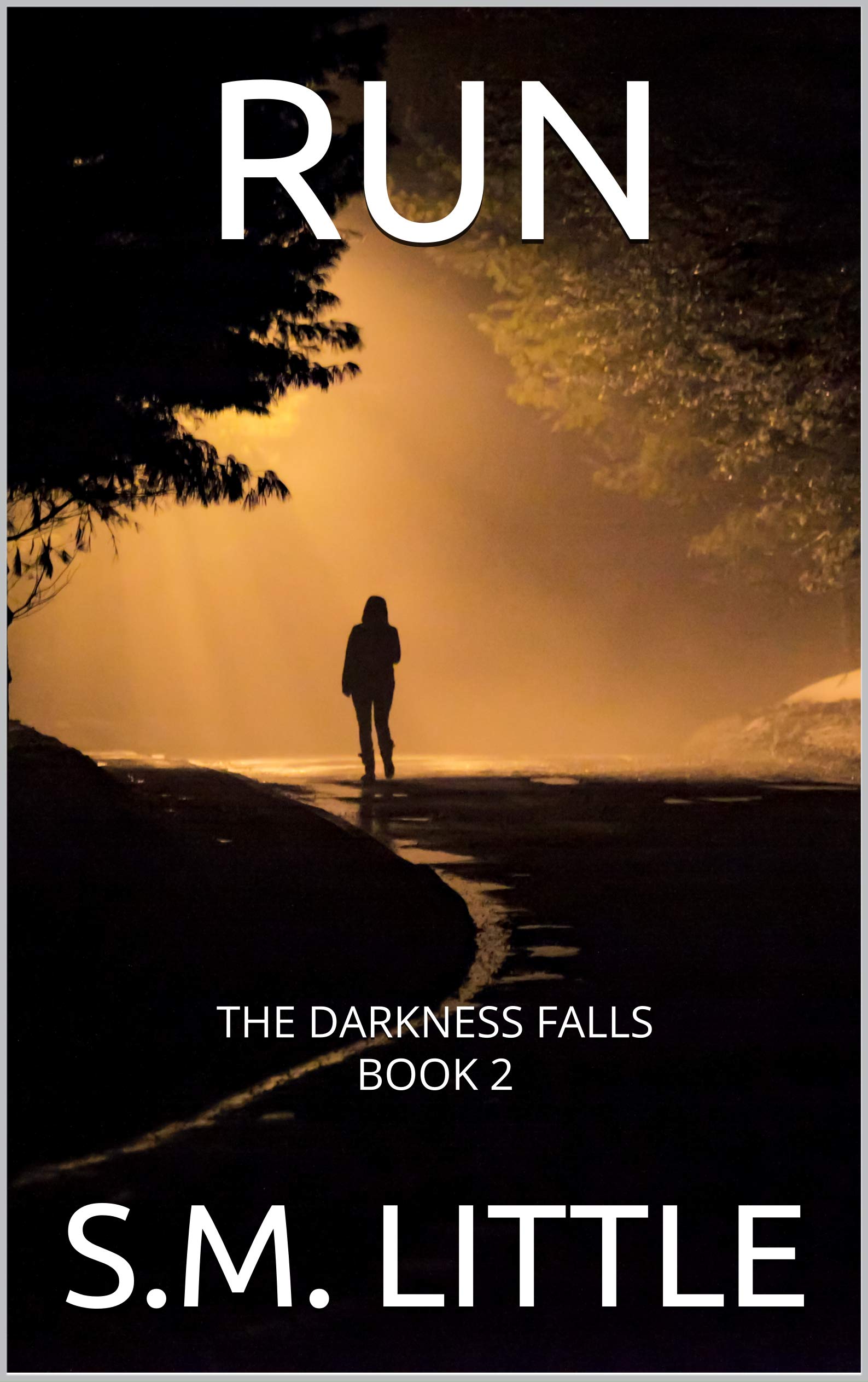 RUN: The Darkness Falls Book 2 by S.M. Little | Goodreads