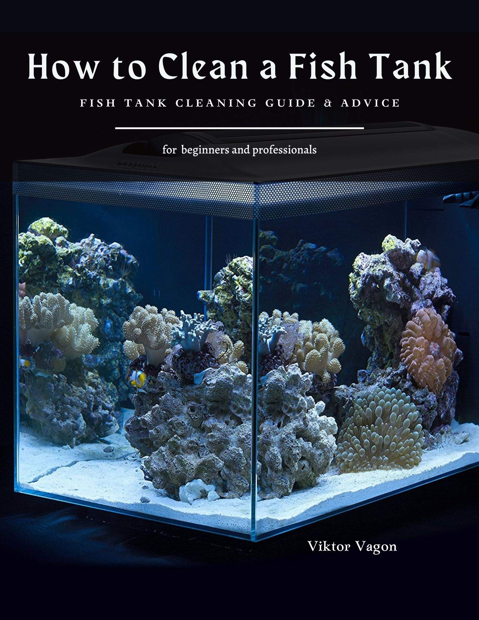 How to Clean a Fish Tank Fish Tank Cleaning Guide & Advice by Viktor