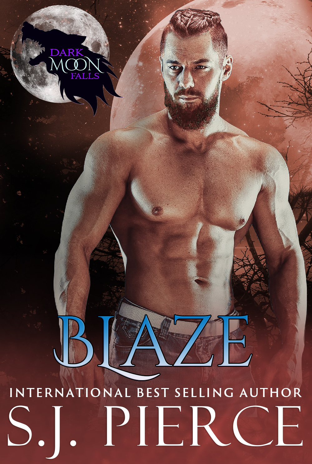 Blaze book cover