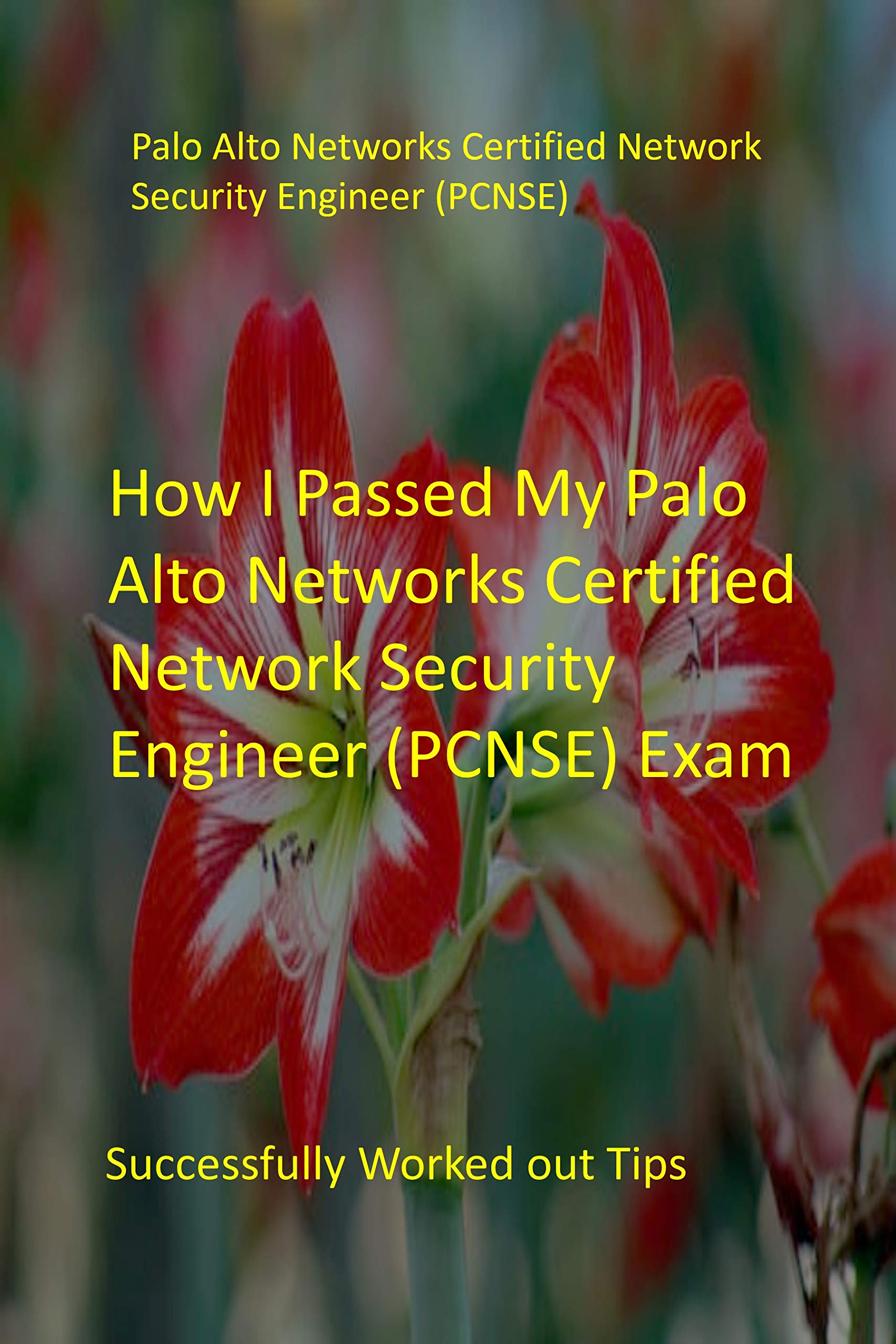 PCNSE Quizfragen Und Antworten