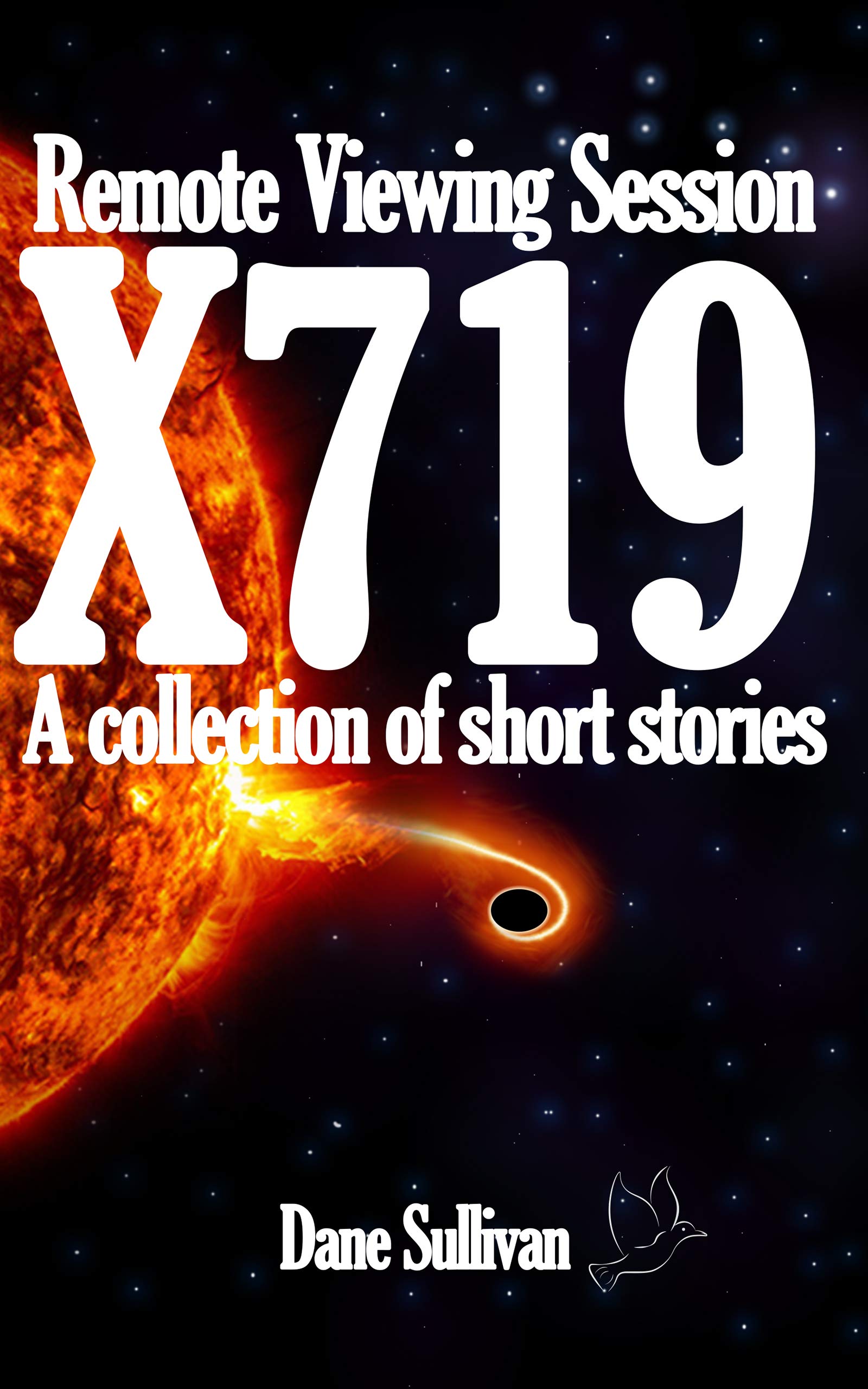 Remote Viewing Session X719: A Collection of Short Stories