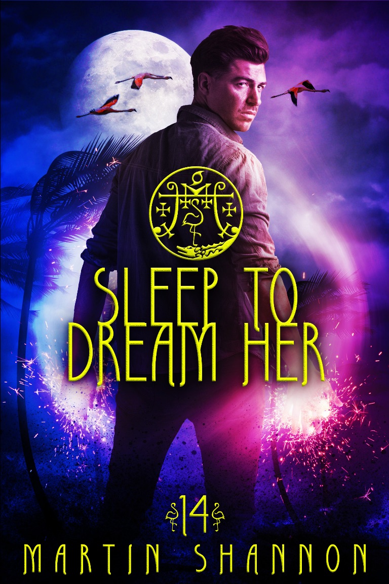 Sleep to Dream Her book cover