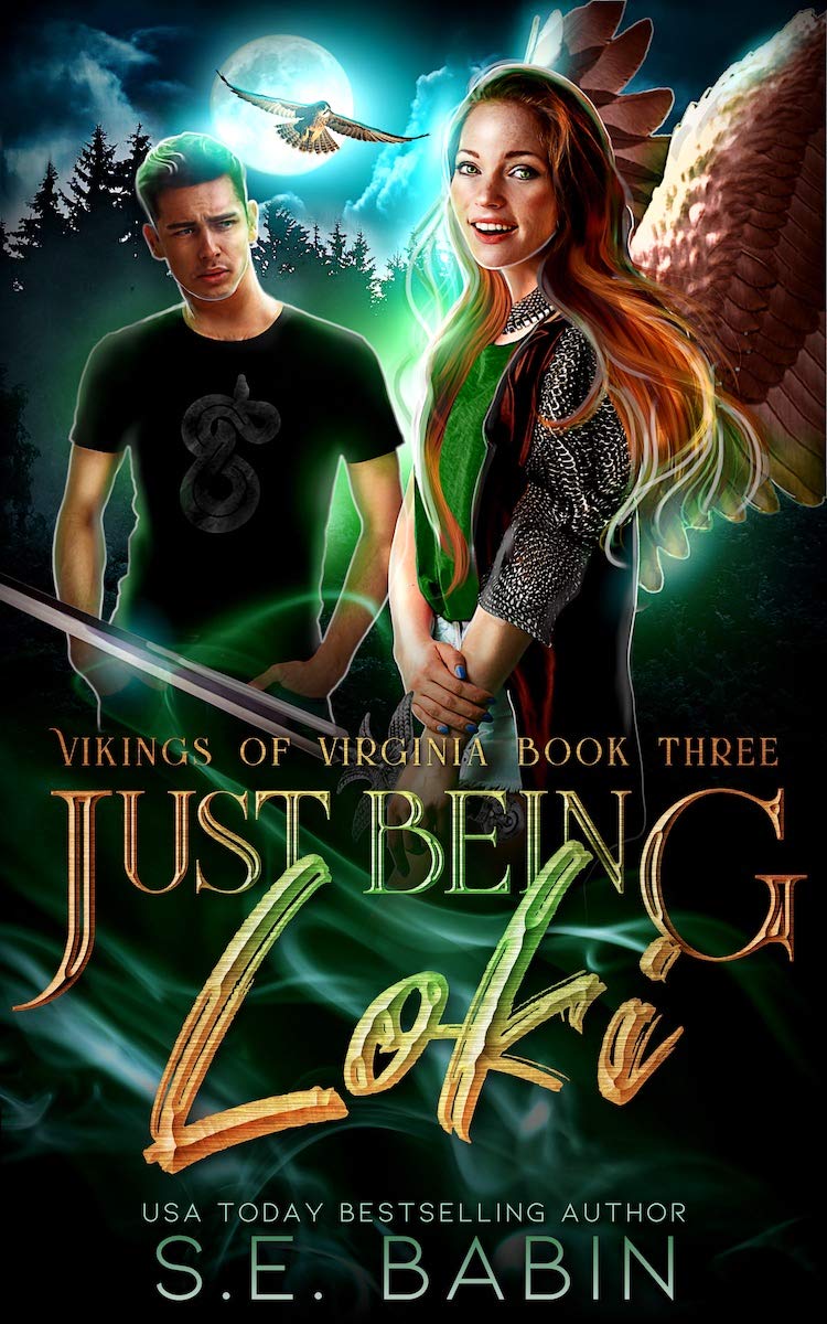 Vikings of Virginia book cover 3