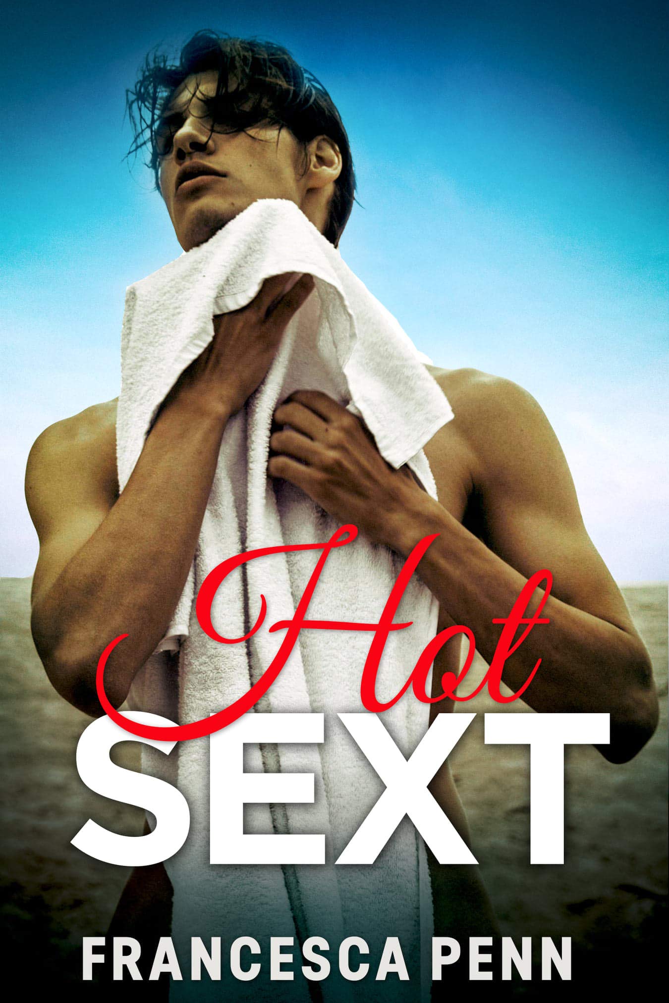 Hot Sext book cover