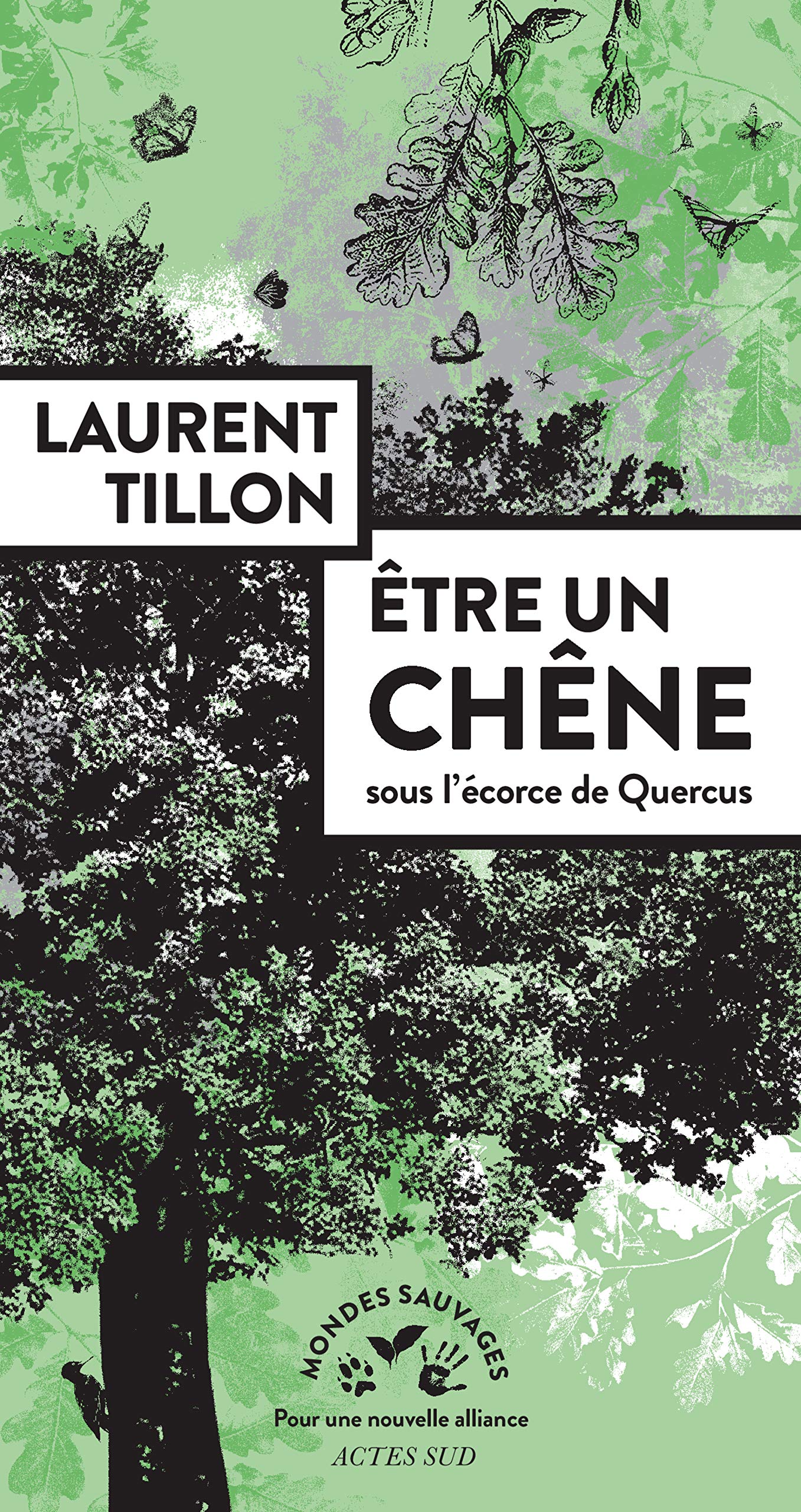 Être un chêne : sous l'écorce de Quercus