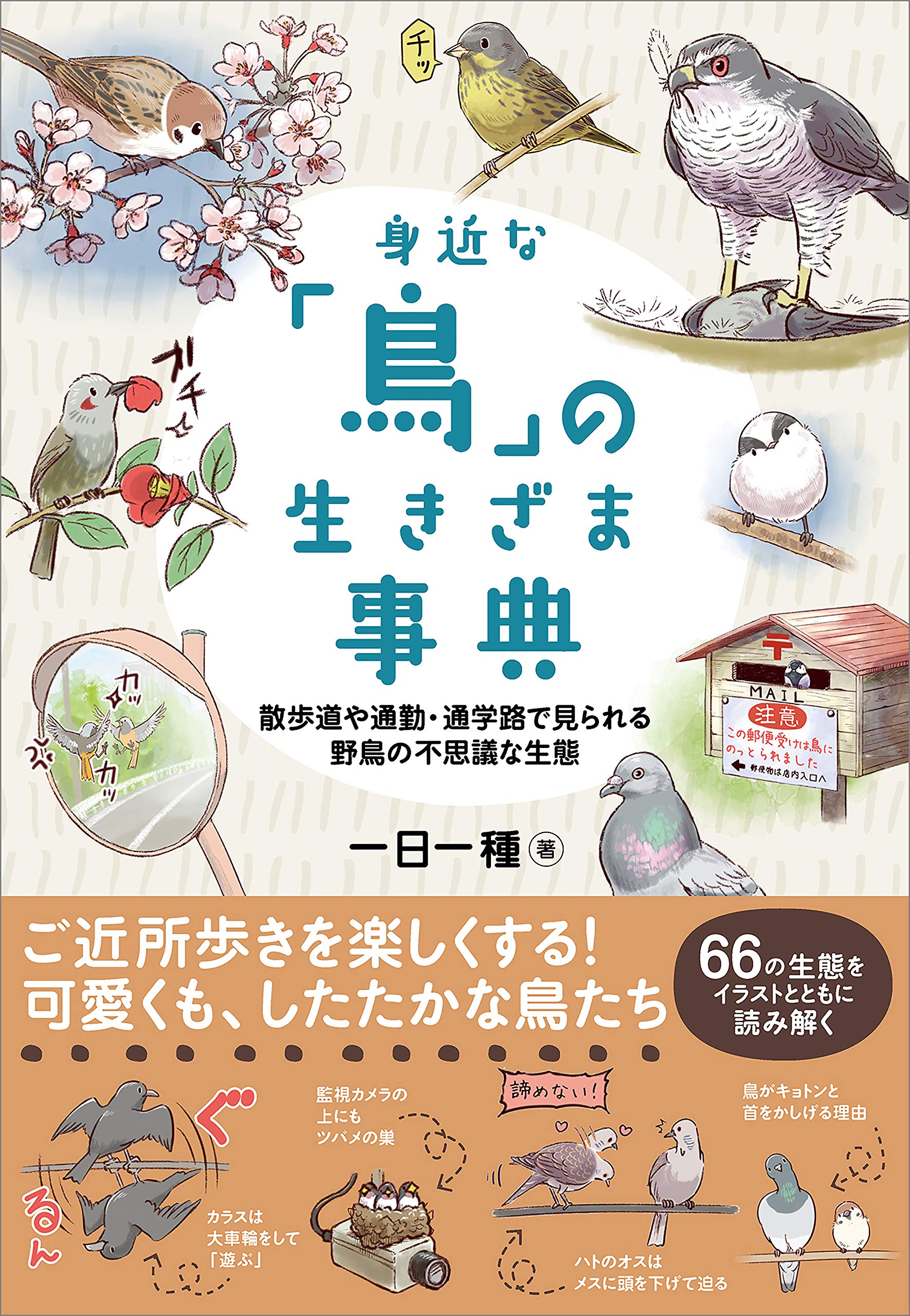 身近な 鳥 の生きざま事典 散歩道や通勤 通学路で見られる野鳥の不思議な生態 By 一日一種 Goodreads