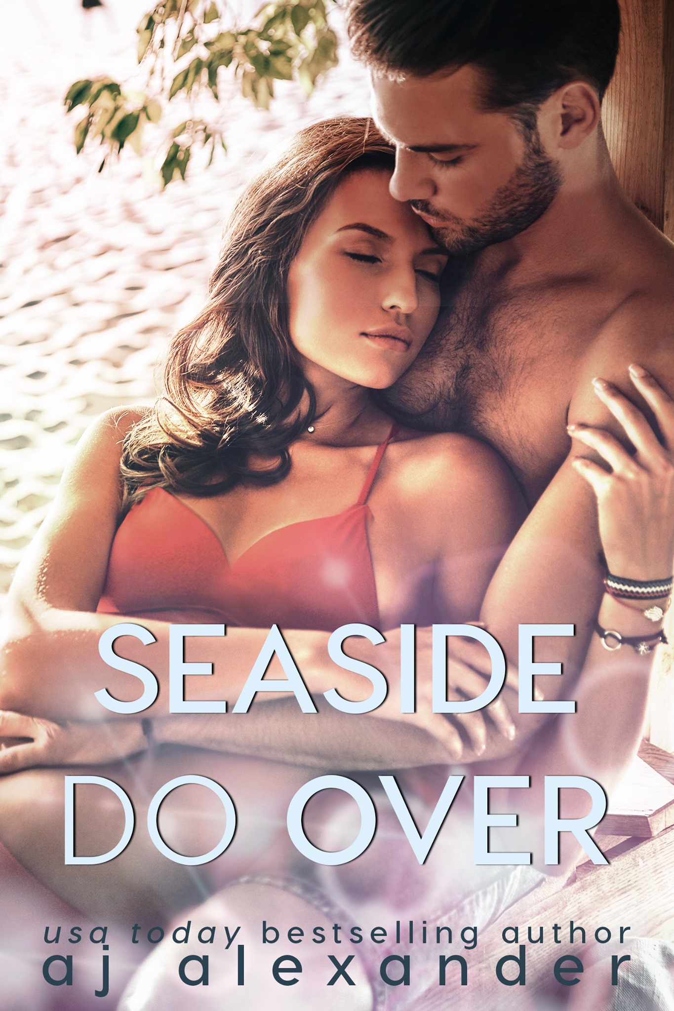 Seaside Do Over book cover