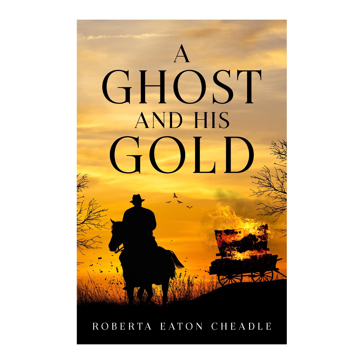 A Ghost and His Gold book cover
