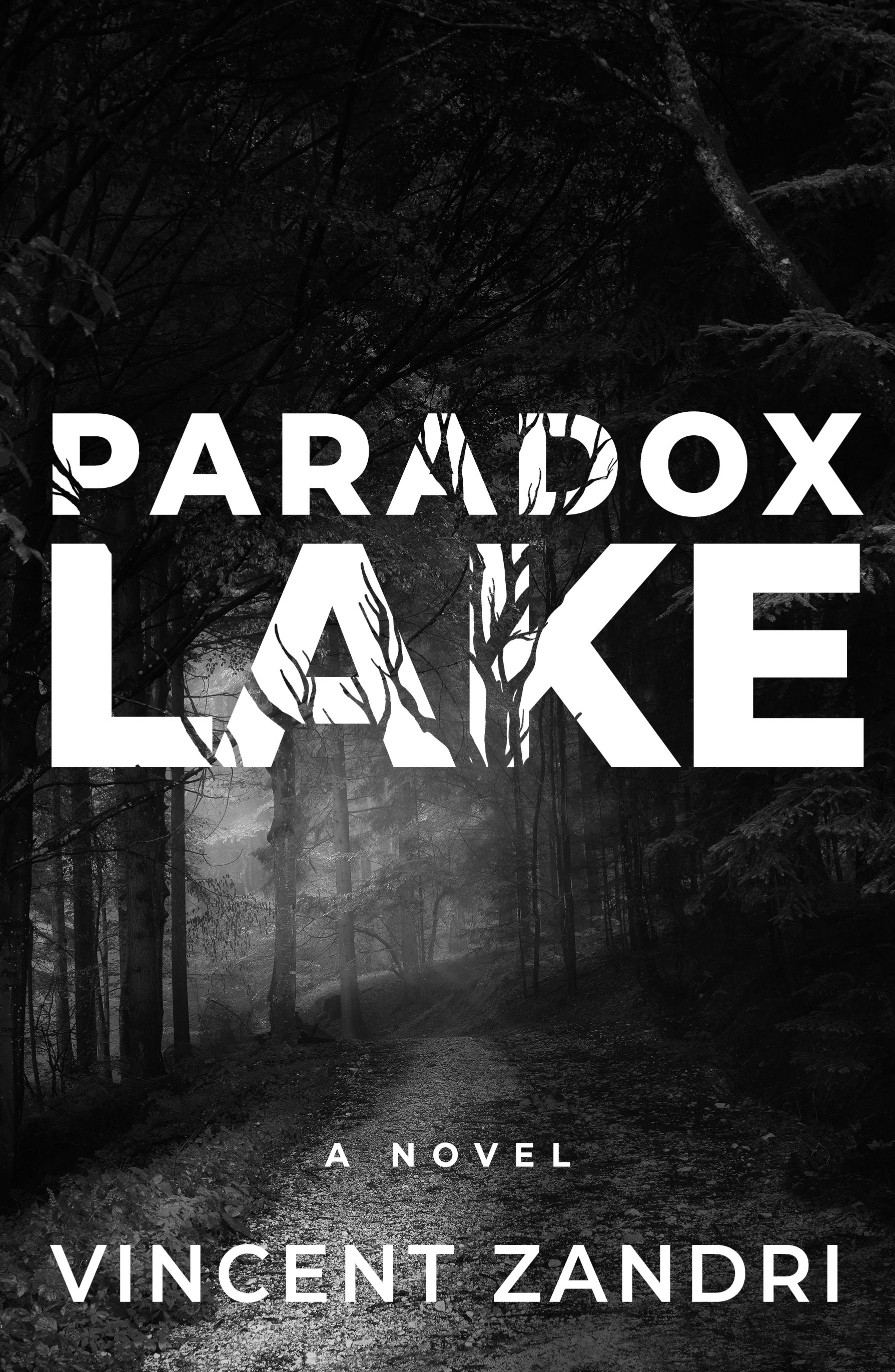Paradox Lake book cover