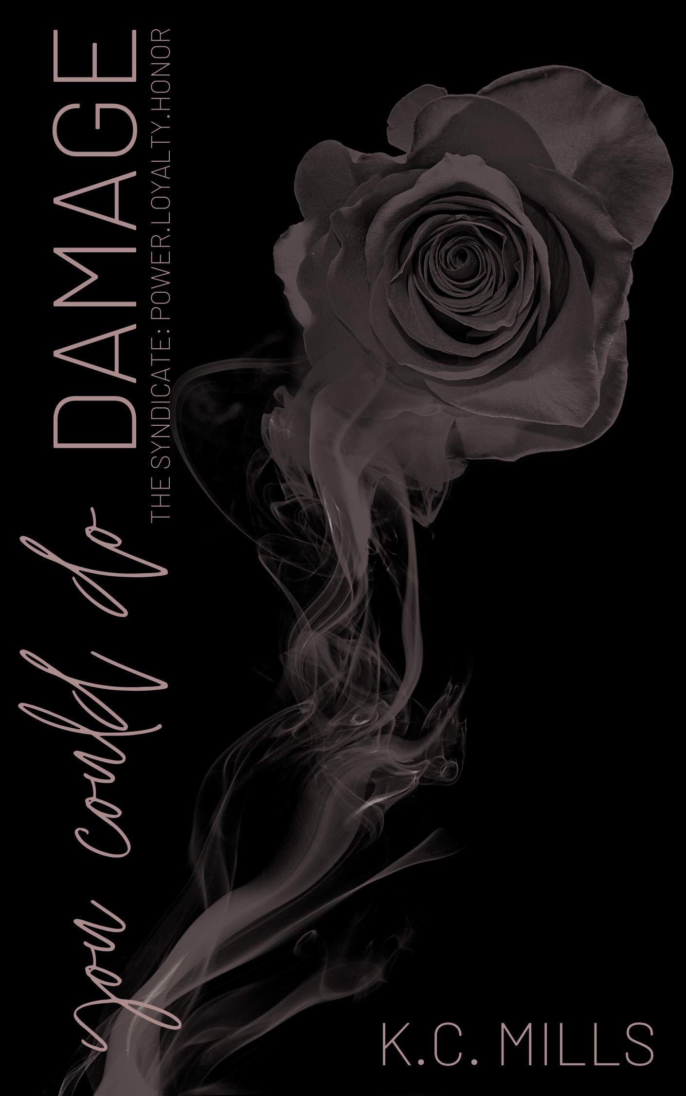 You Could Do Damage book cover