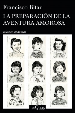 La preparación de la aventura amorosa book cover