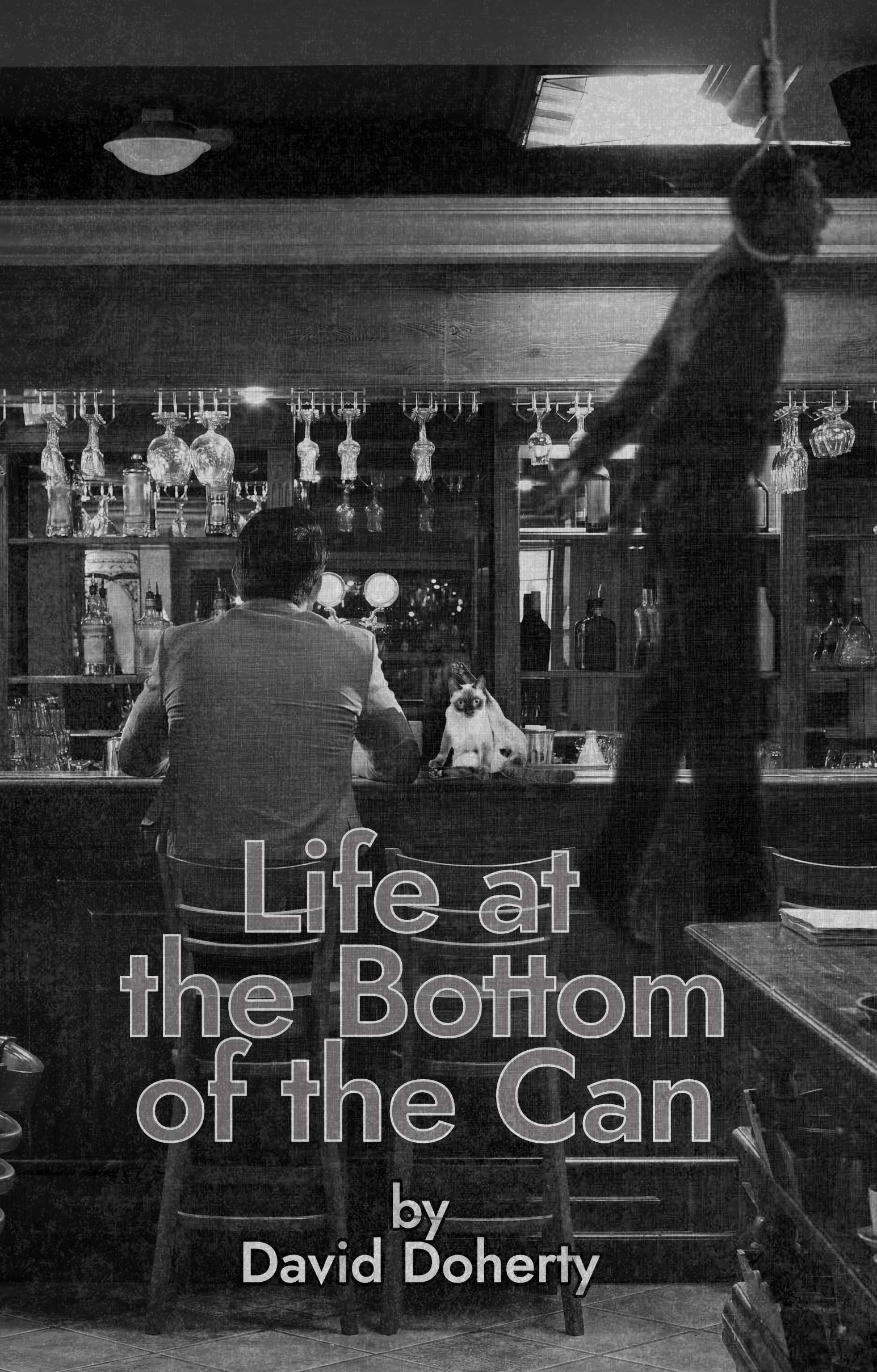 Life at the Bottom of the Can by David Doherty Goodreads