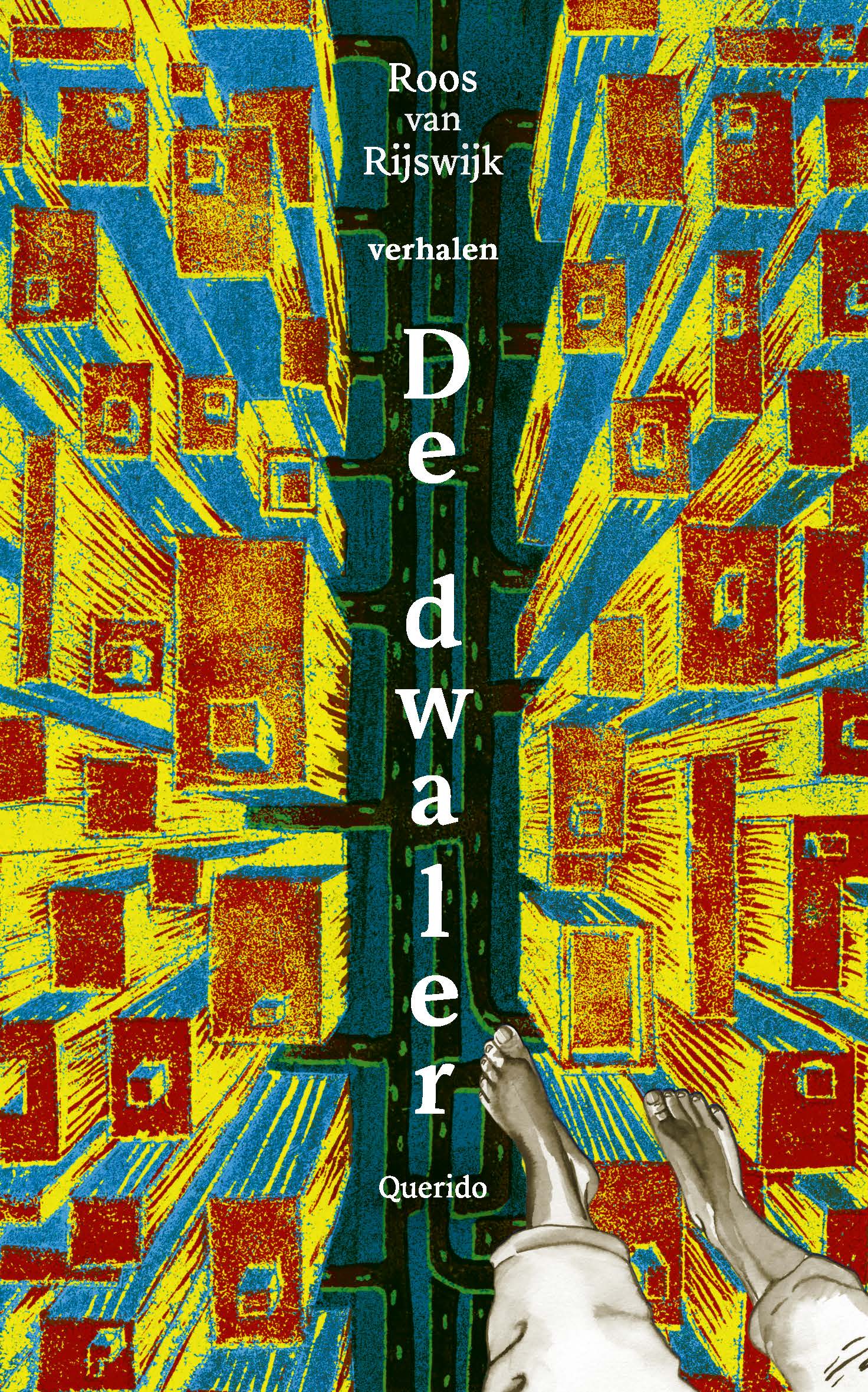 De dwaler book cover