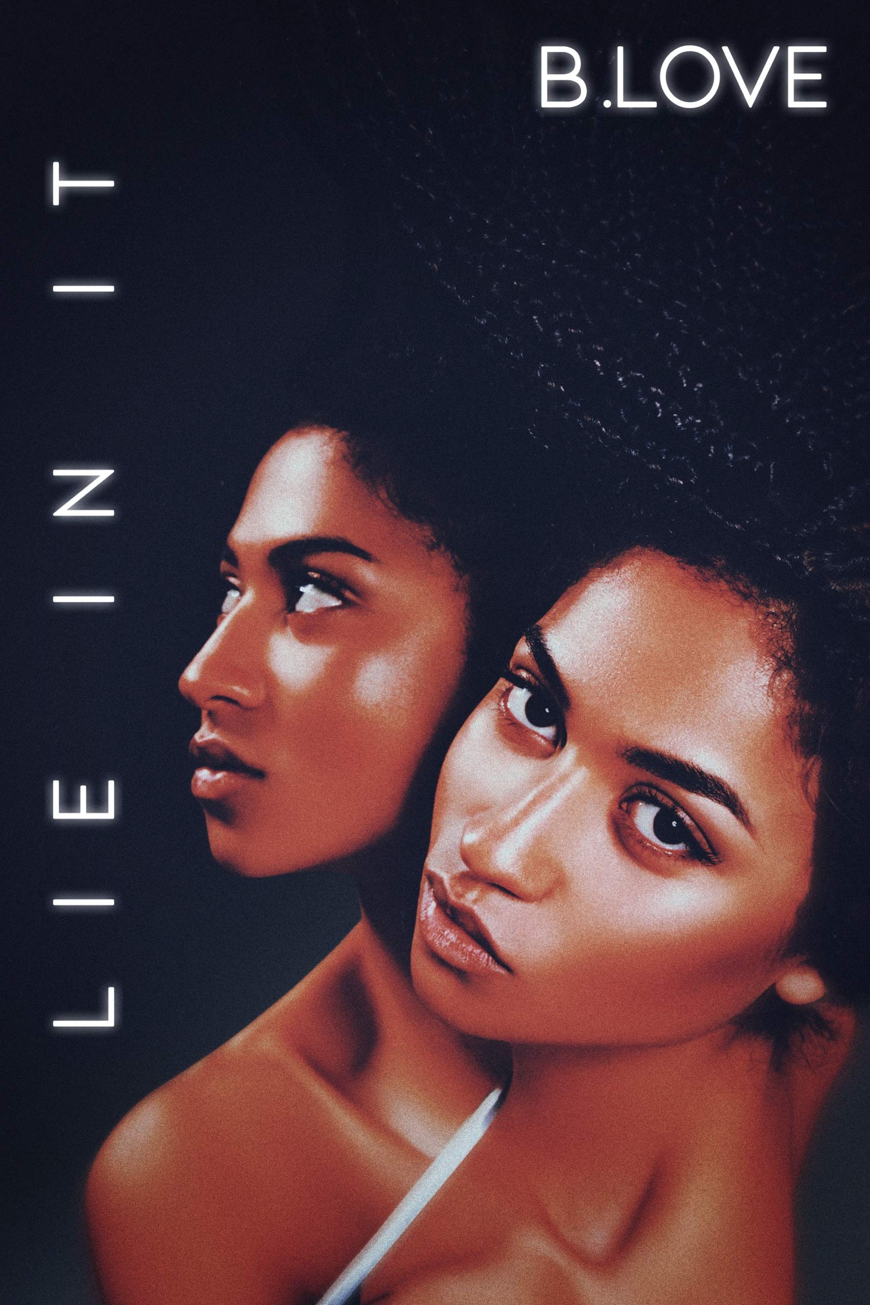 Lie in It book cover
