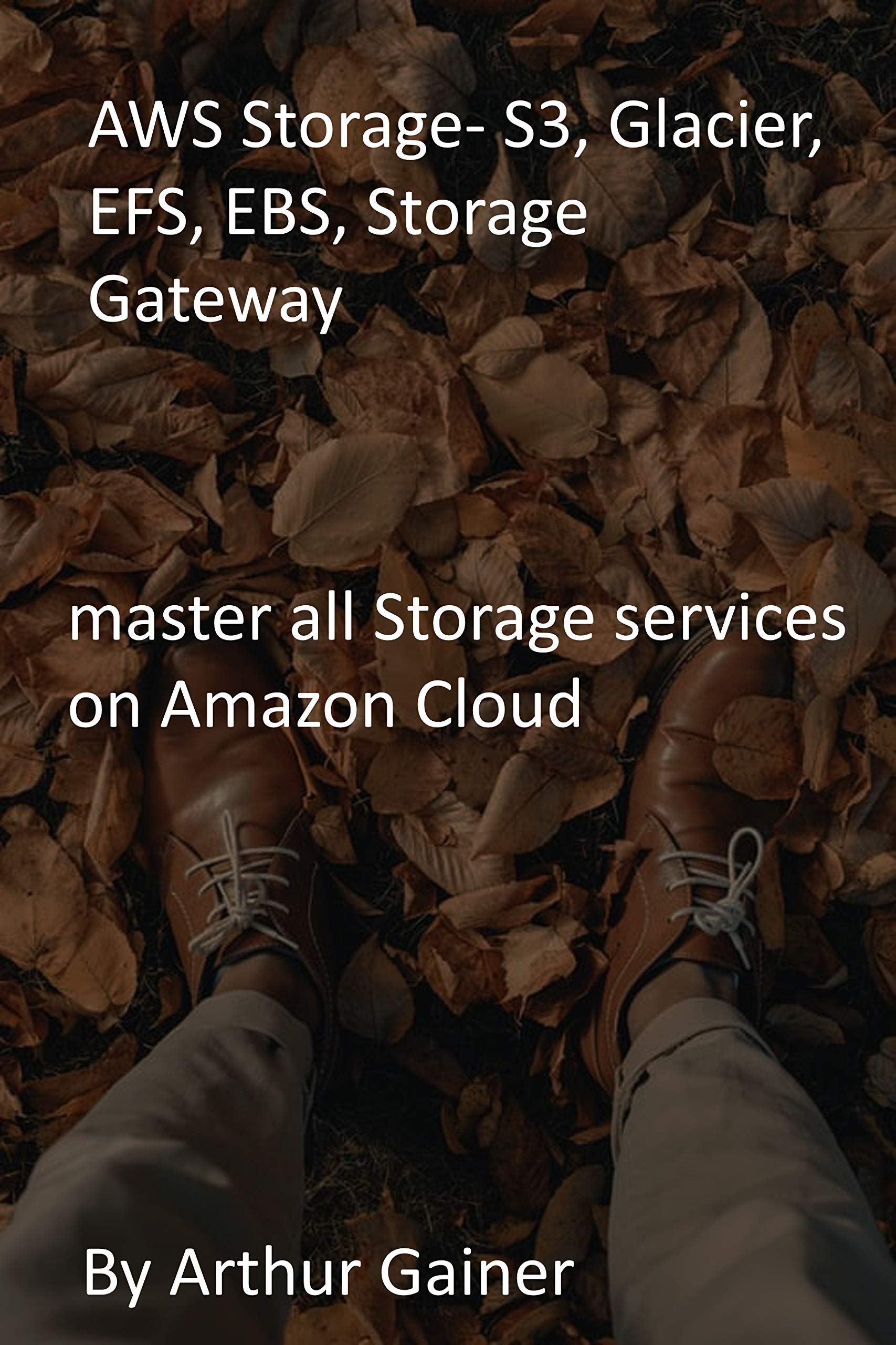 AWS Storage S3, Glacier, EFS, EBS, Storage Gateway master all Storage