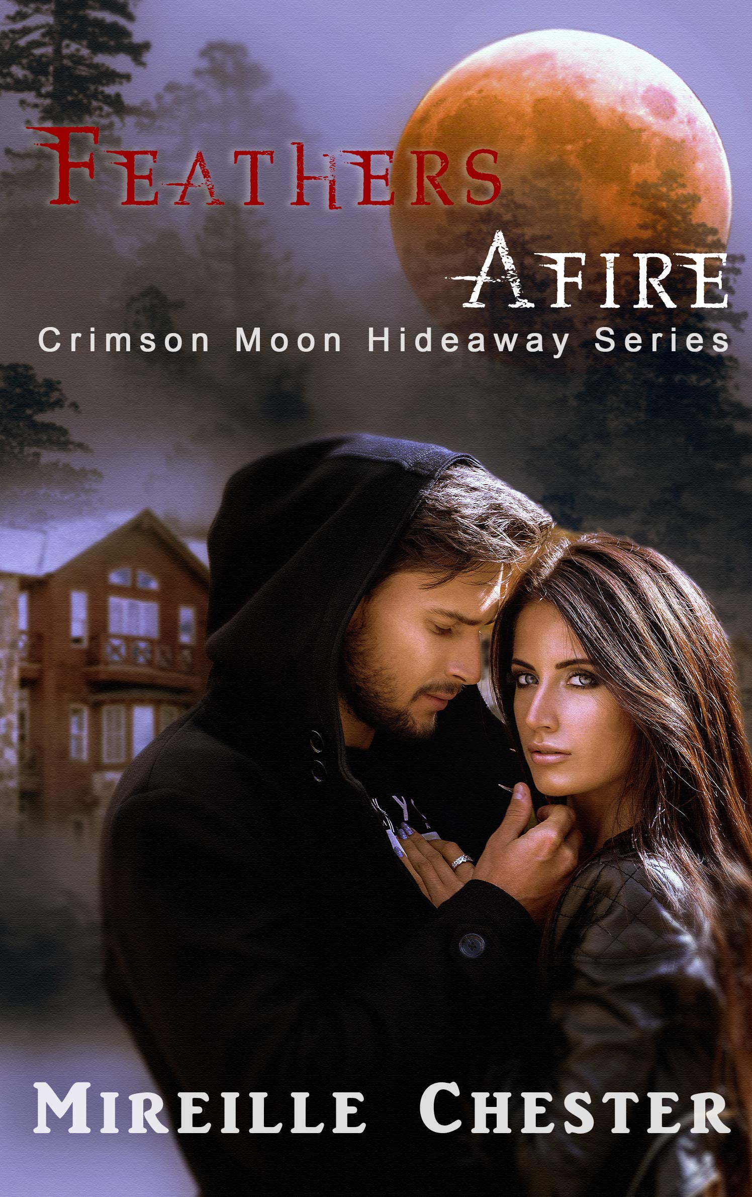 Feathers Afire book cover