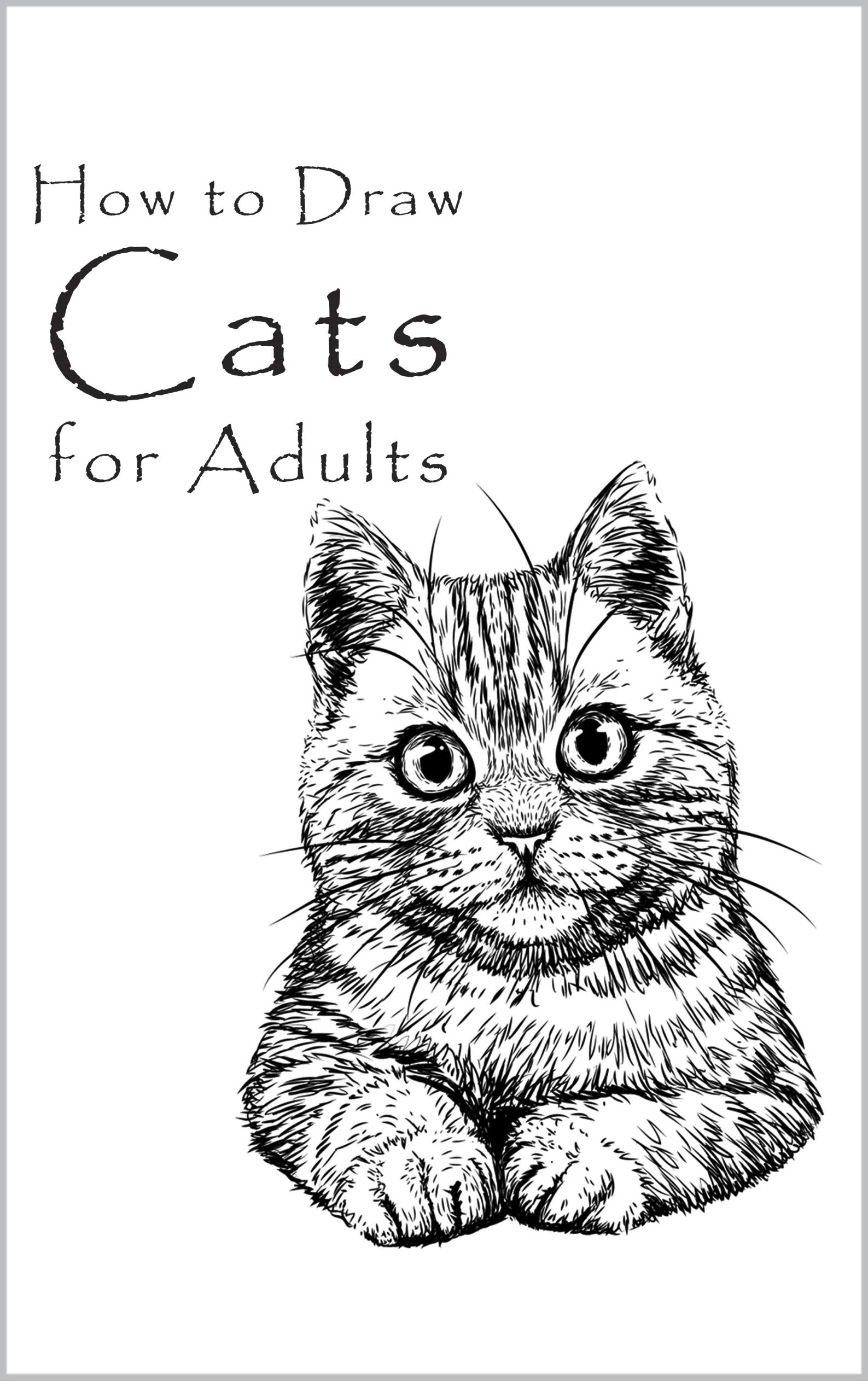 How to Draw Cats for Adults Learn to Draw Cats for Adults, How to Draw Cats, How to Draw Ctas