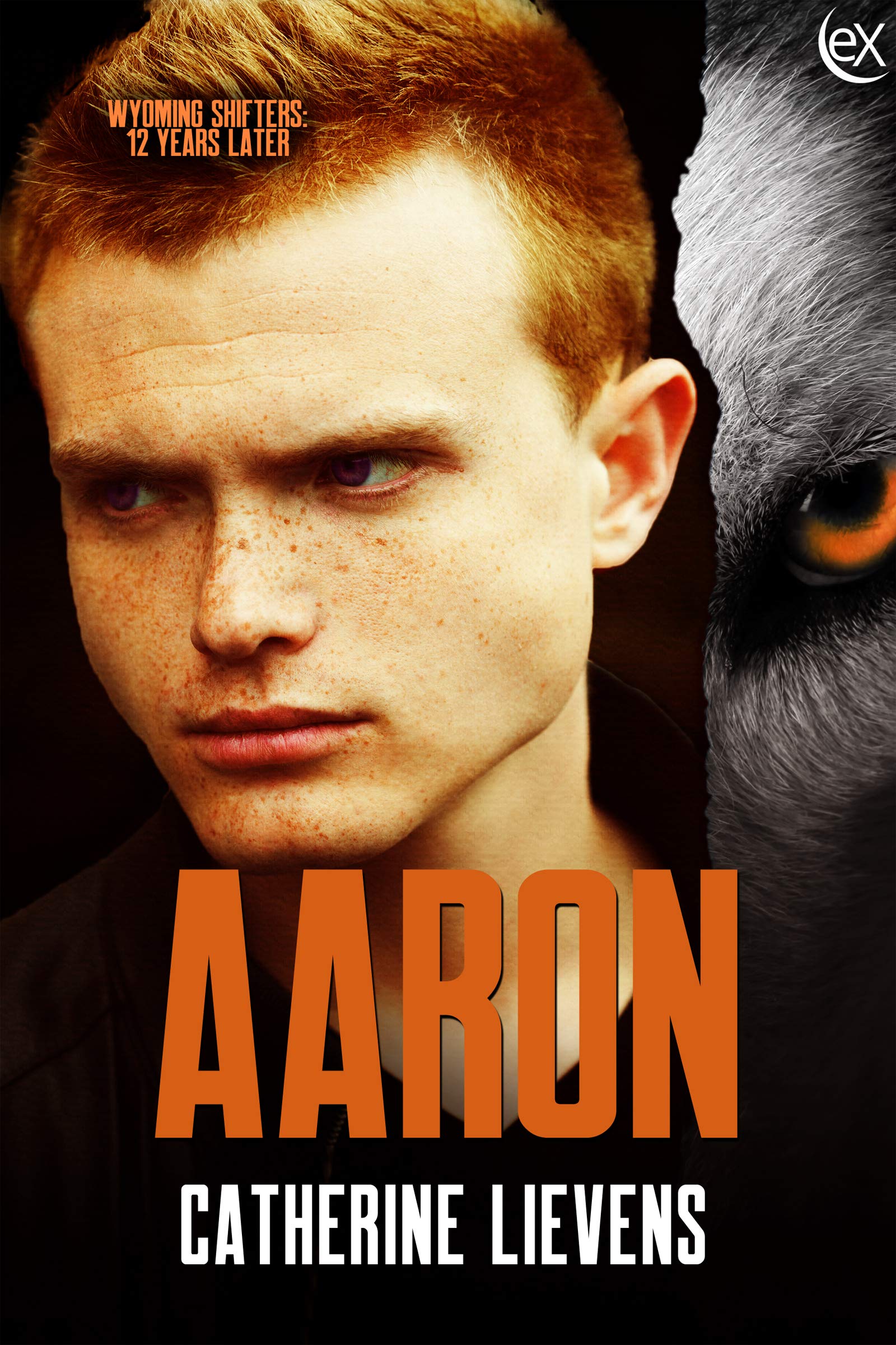 Aaron book cover