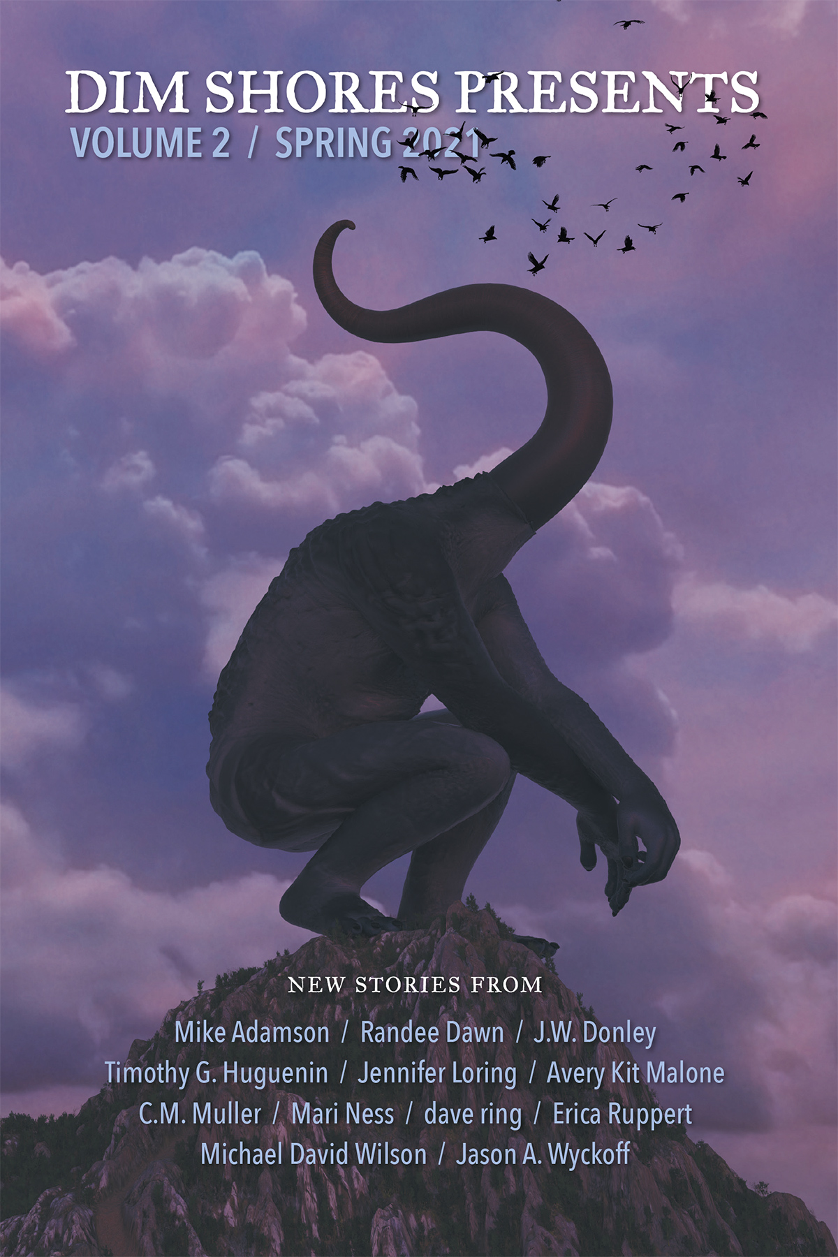 Dim Shores Presents book cover 2