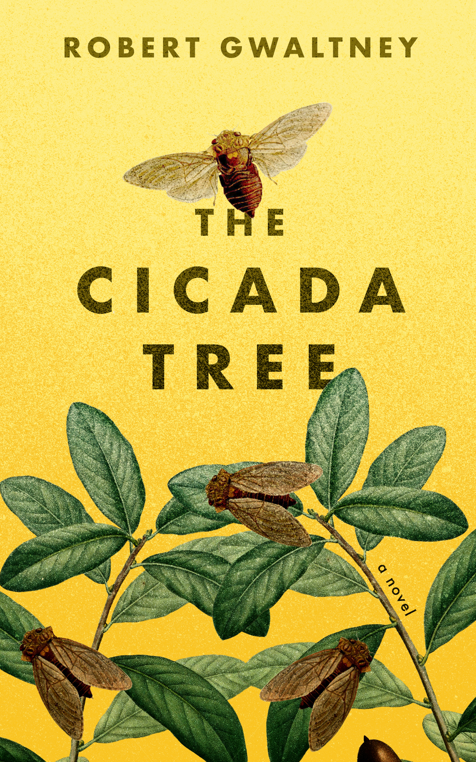The Cicada Tree