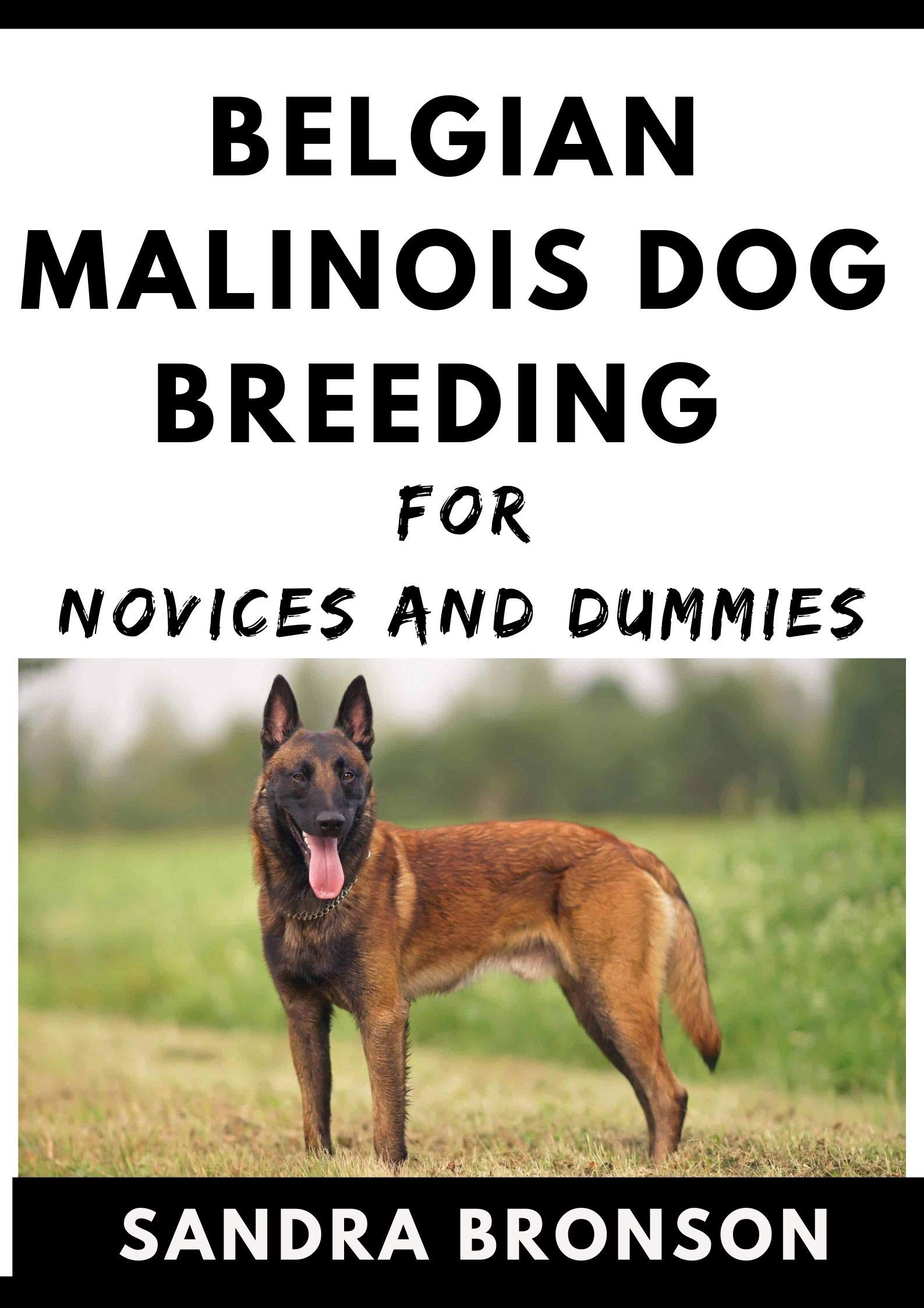Belgian Malinois Dog Breeding For Novices And Dummies by Sandra Bronson