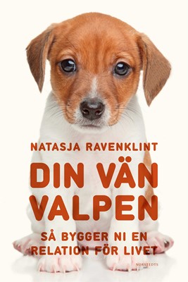 Din vän valpen: Så bygger ni en relation för livet