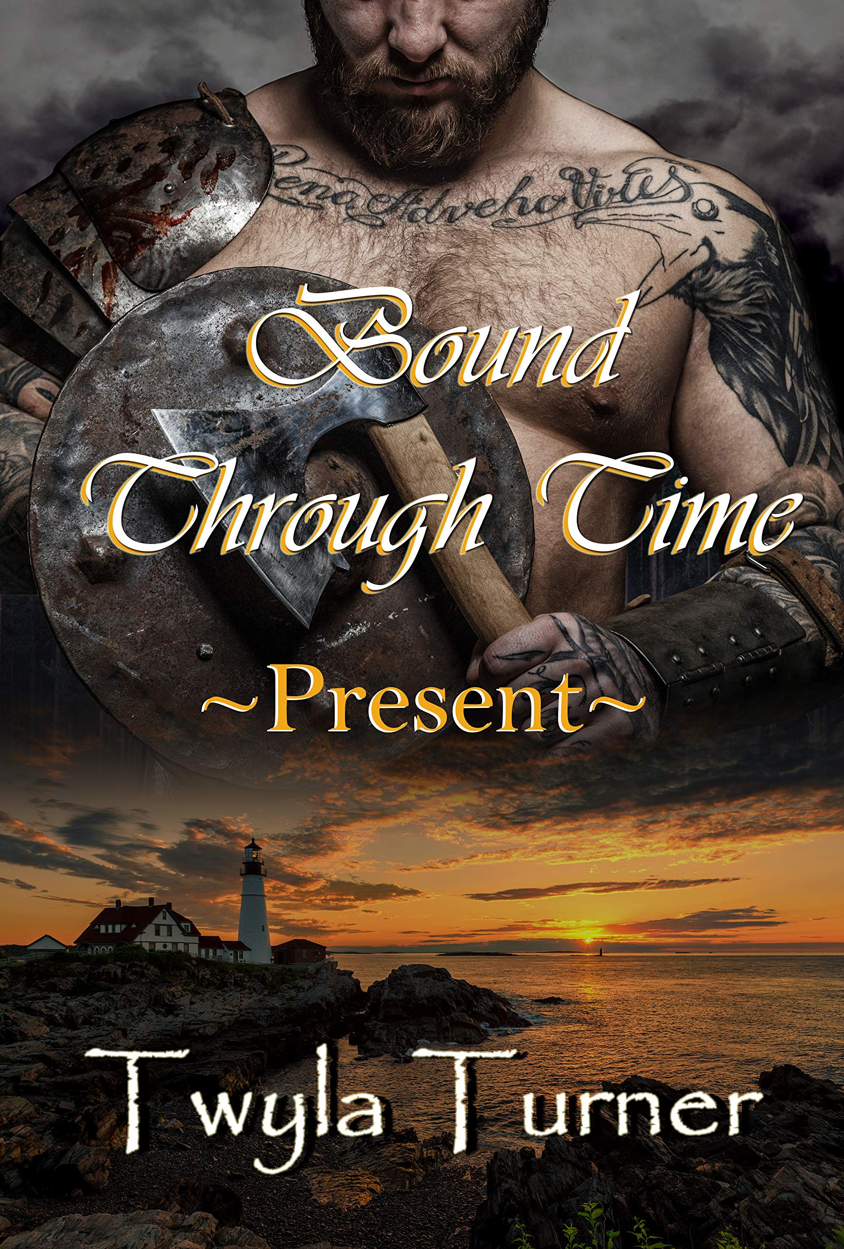 Viking Brothers book cover 2