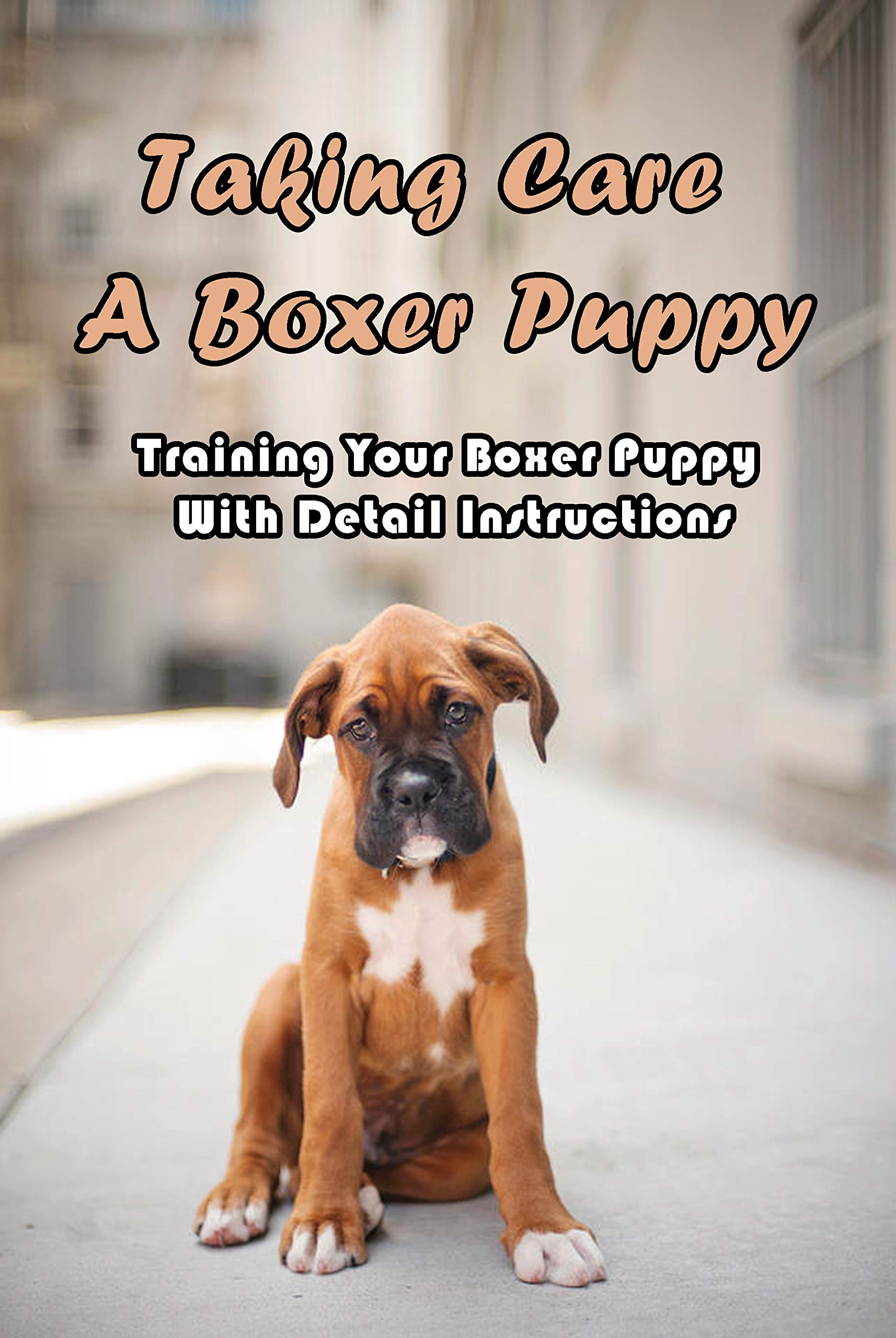 Taking Care A Boxer Puppy Training Your Boxer Puppy With Detail
