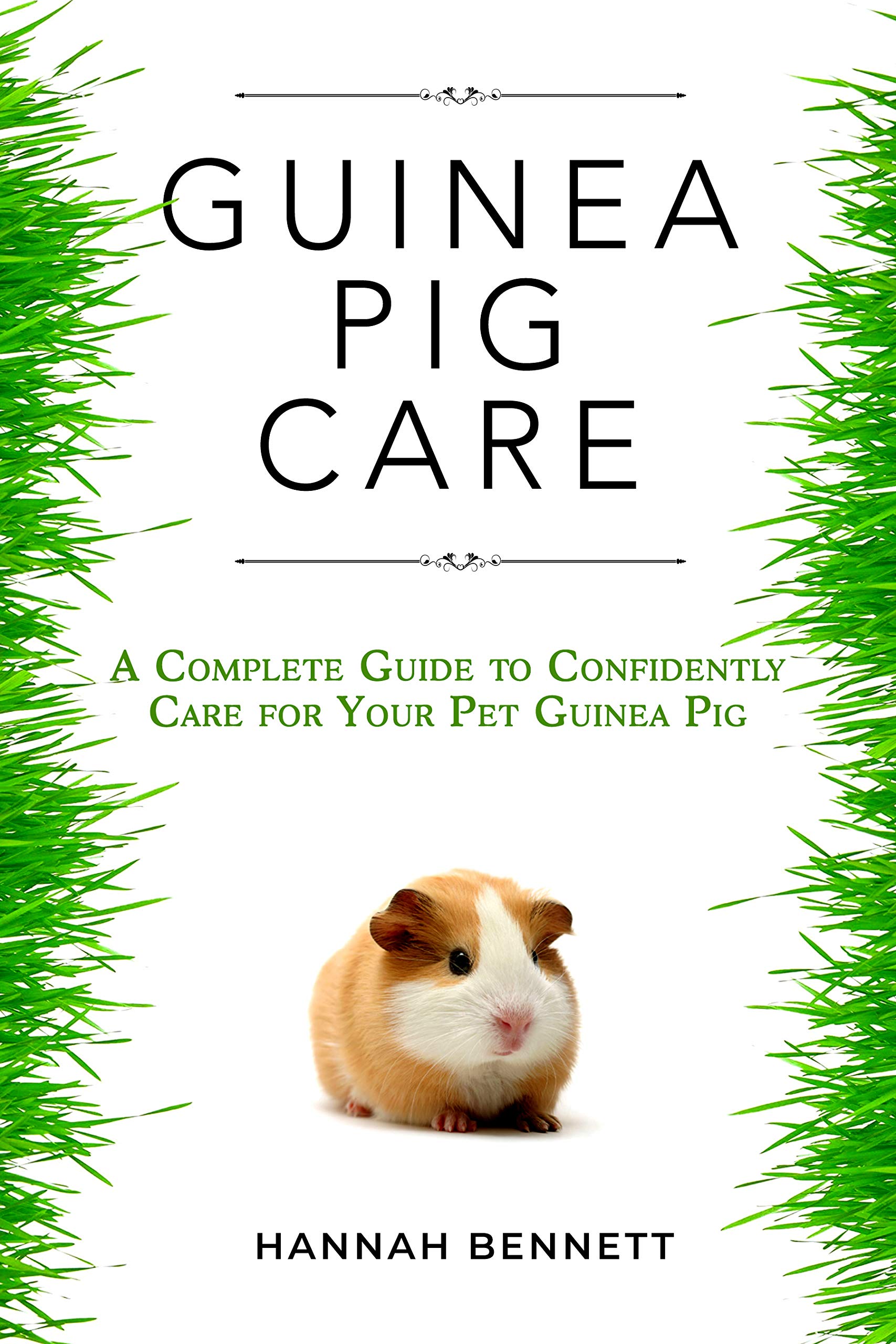 Guinea Pig Care A Complete Guide to Confidently Care for Your Pet